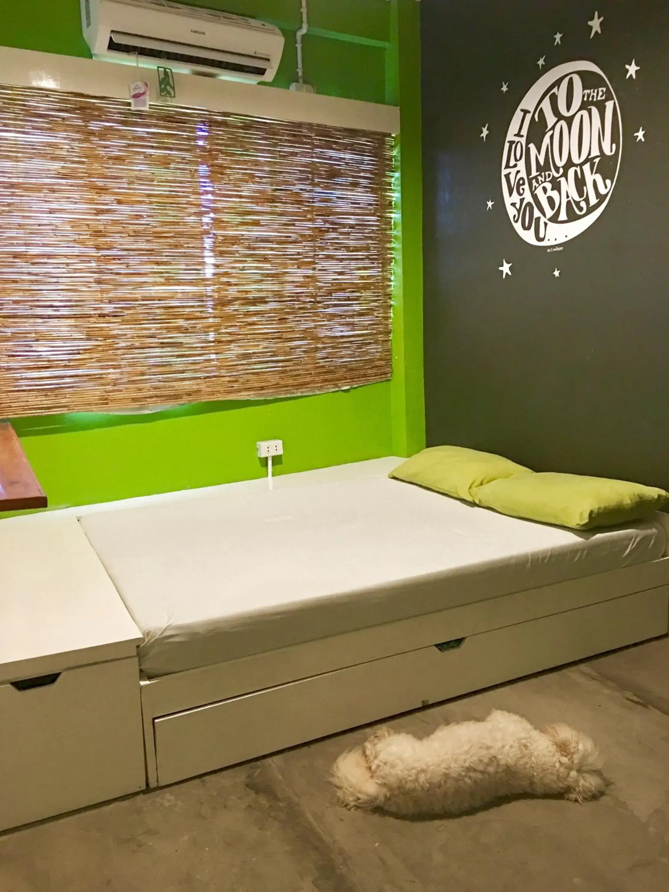 Bed in Moon Fools Hostel Bed in Moon Fools Hostel