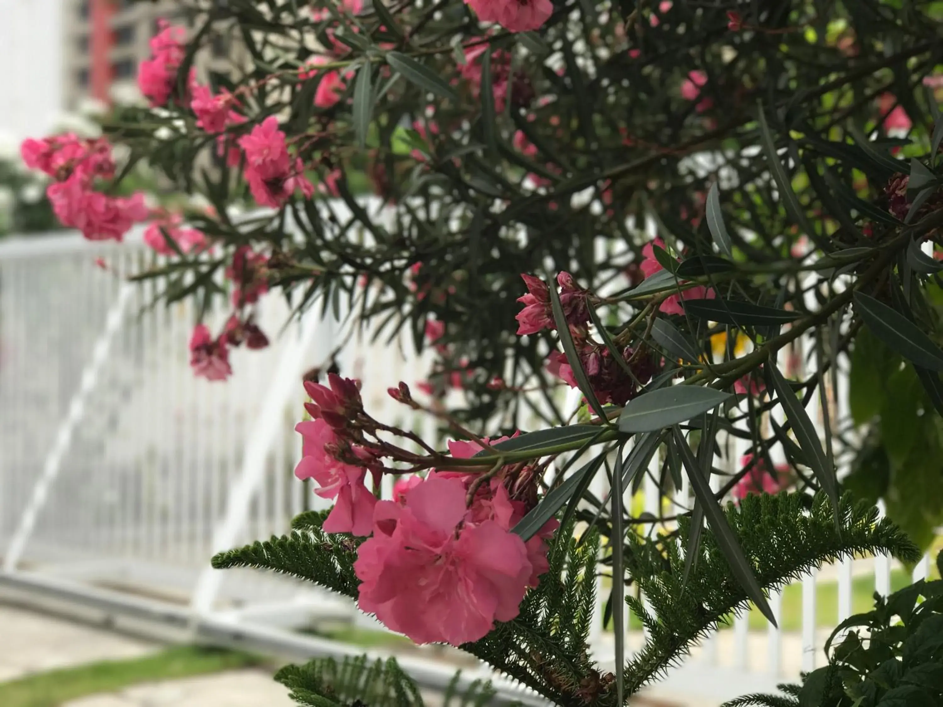 Property building in Scenarium Hotel Property building in Scenarium Hotel