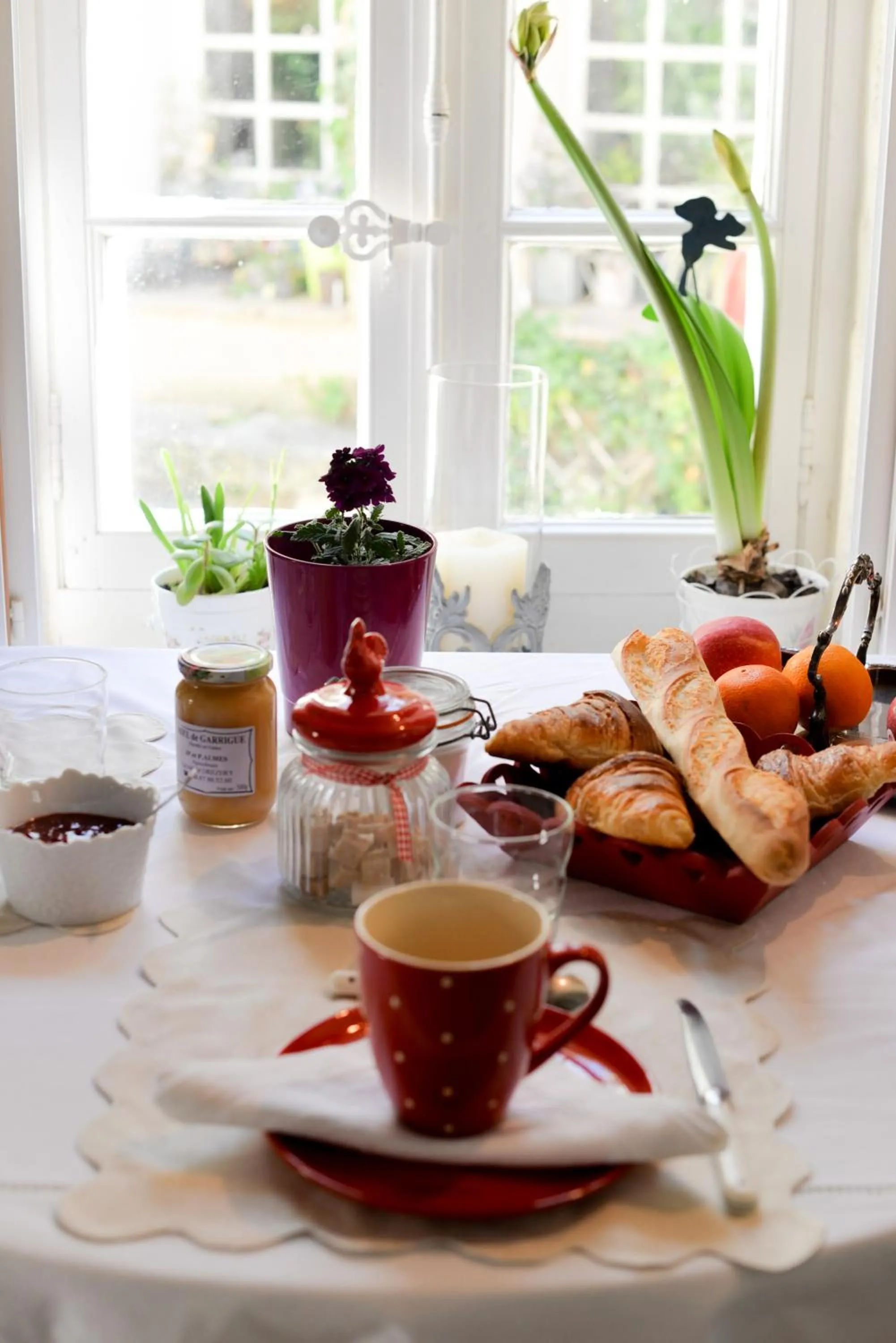 Continental breakfast in Le Duplex de Lapparan