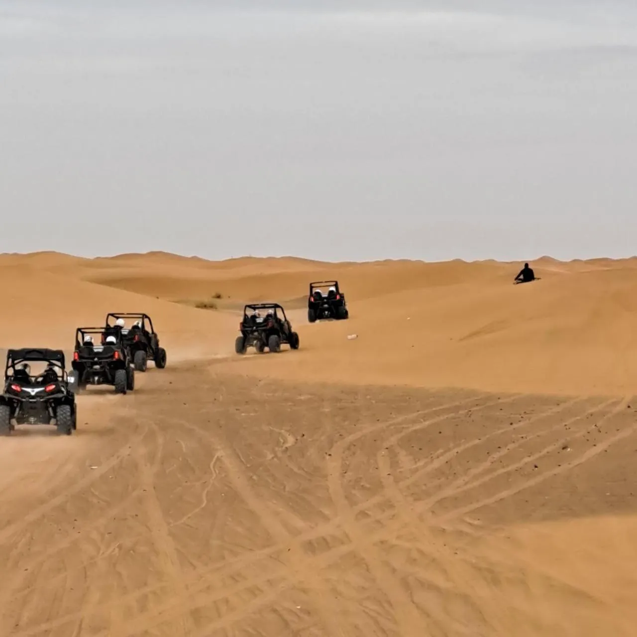 Day in Hotel Berber Palace Merzouga