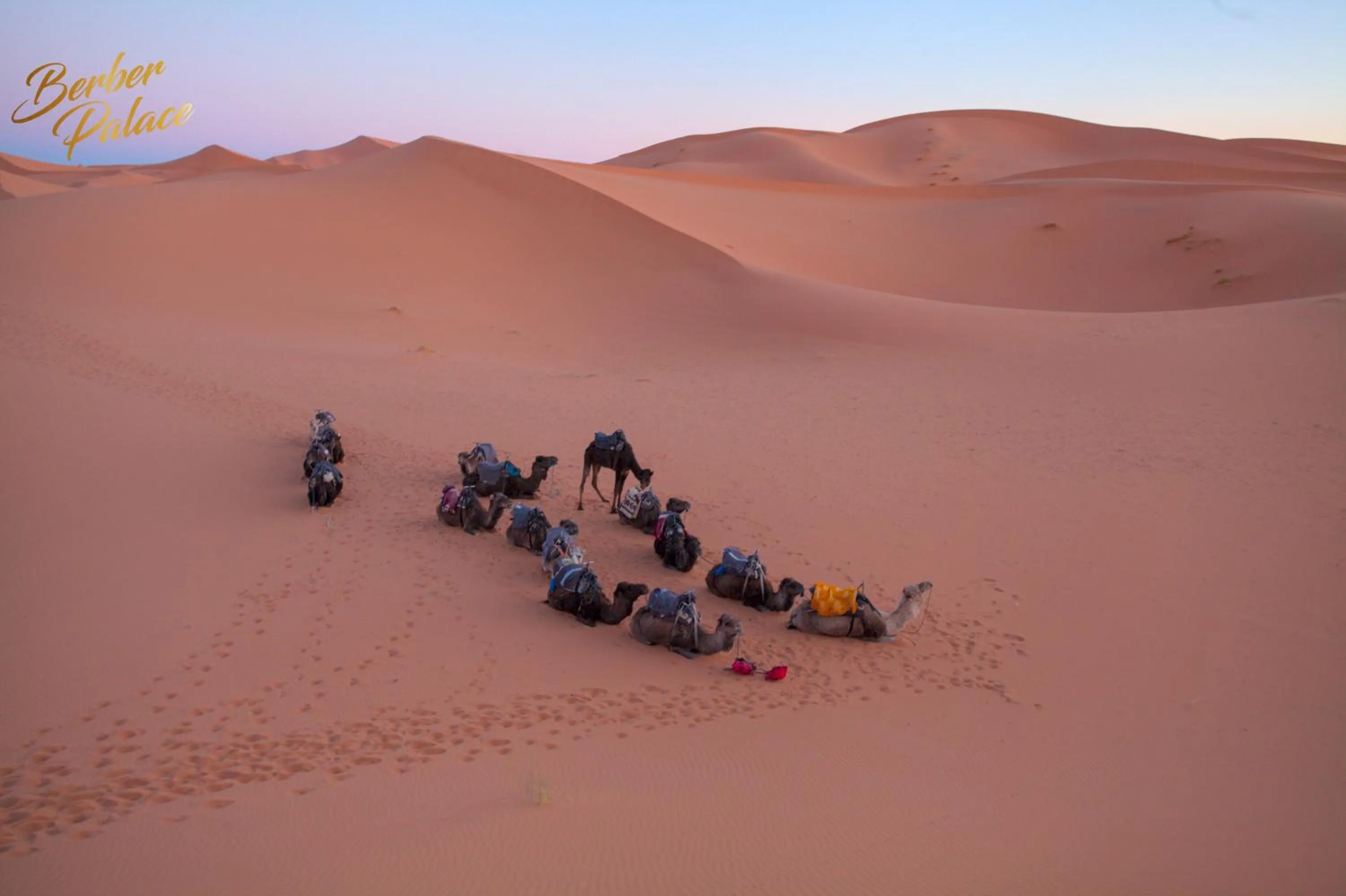 Spring in Hotel Berber Palace Merzouga