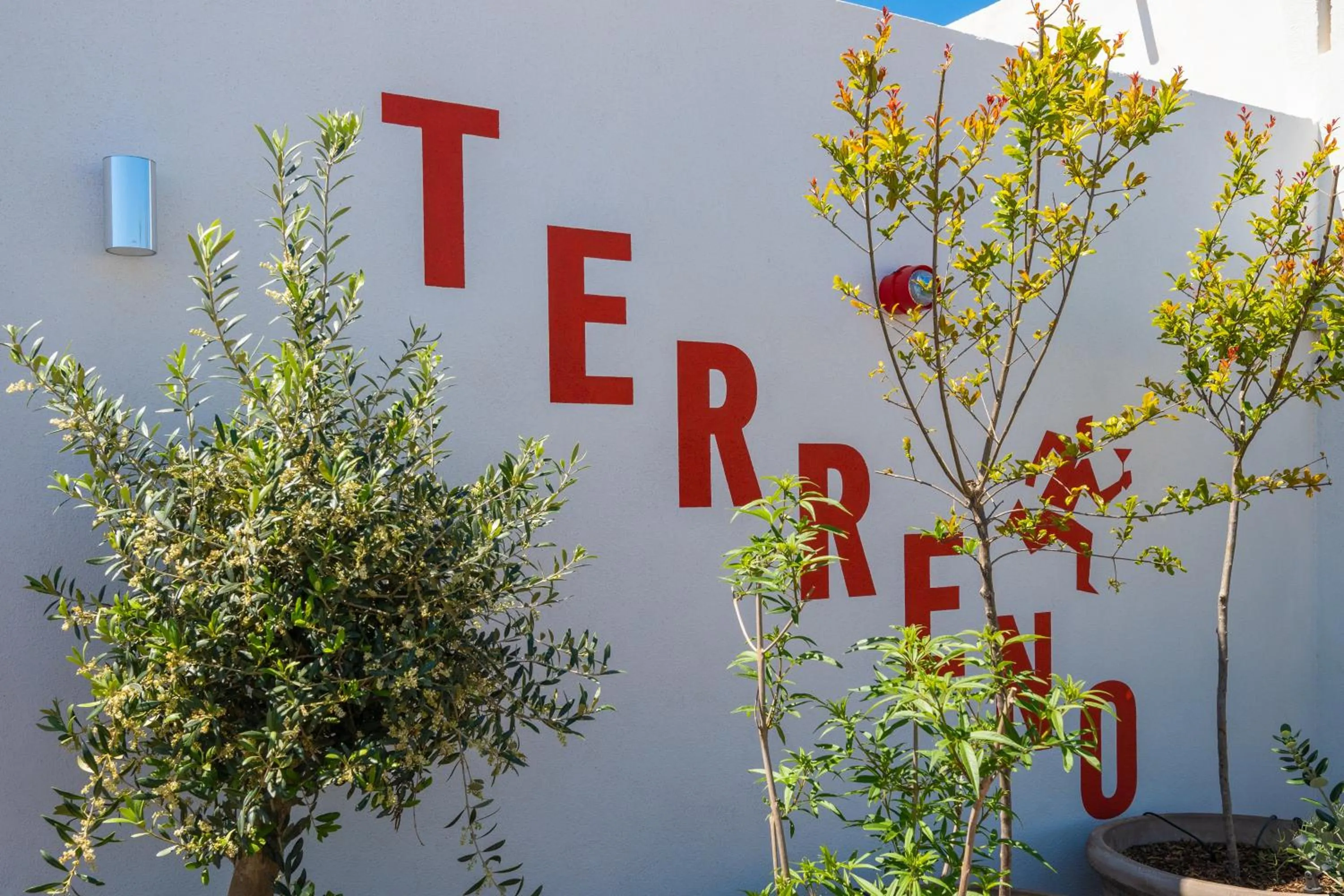 Day in Terreno Barrio Hotel