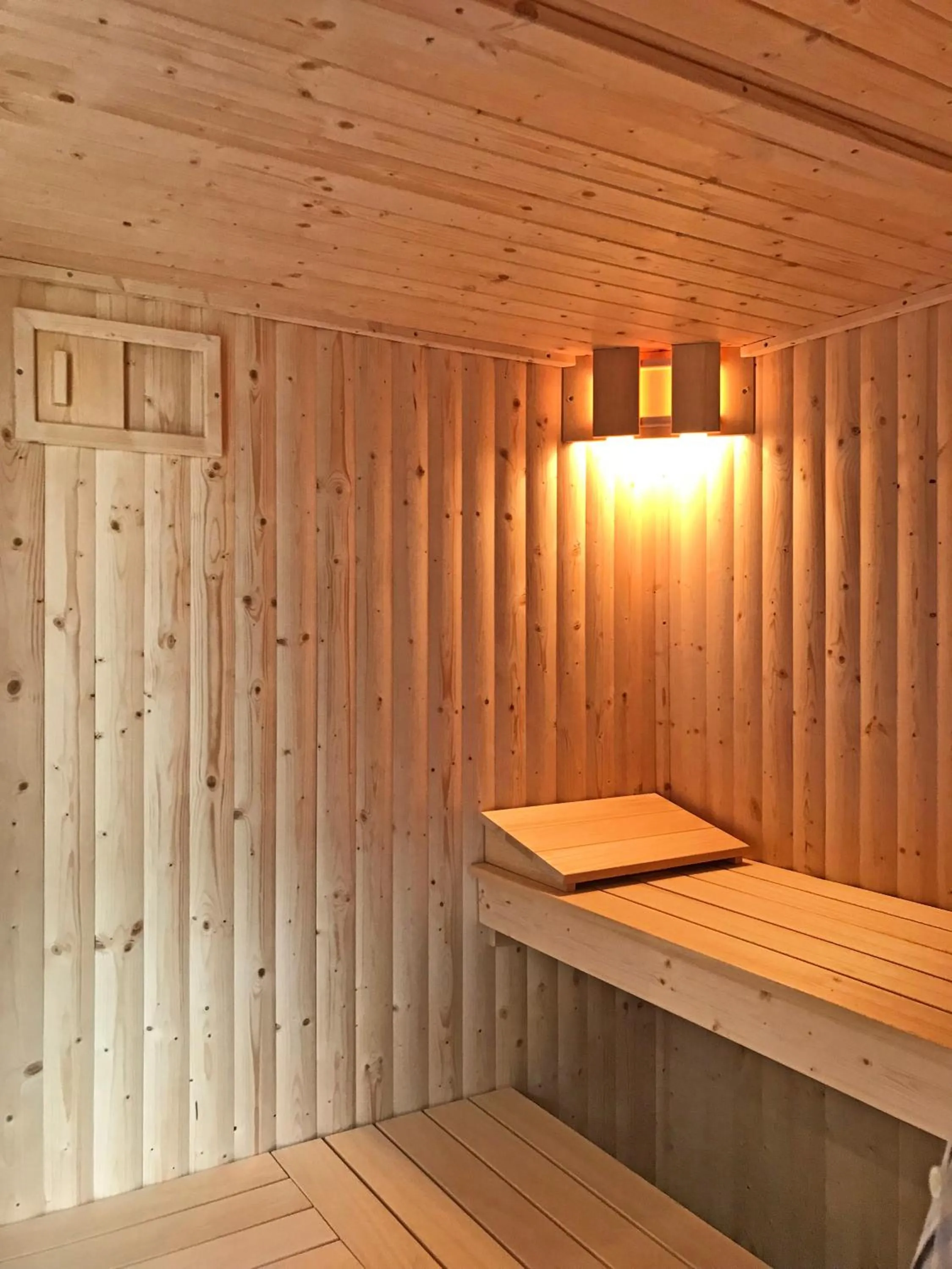 Sauna in The Hand at Llanarmon