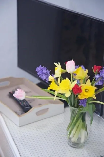 TV and multimedia in Hedingham Old Pottery