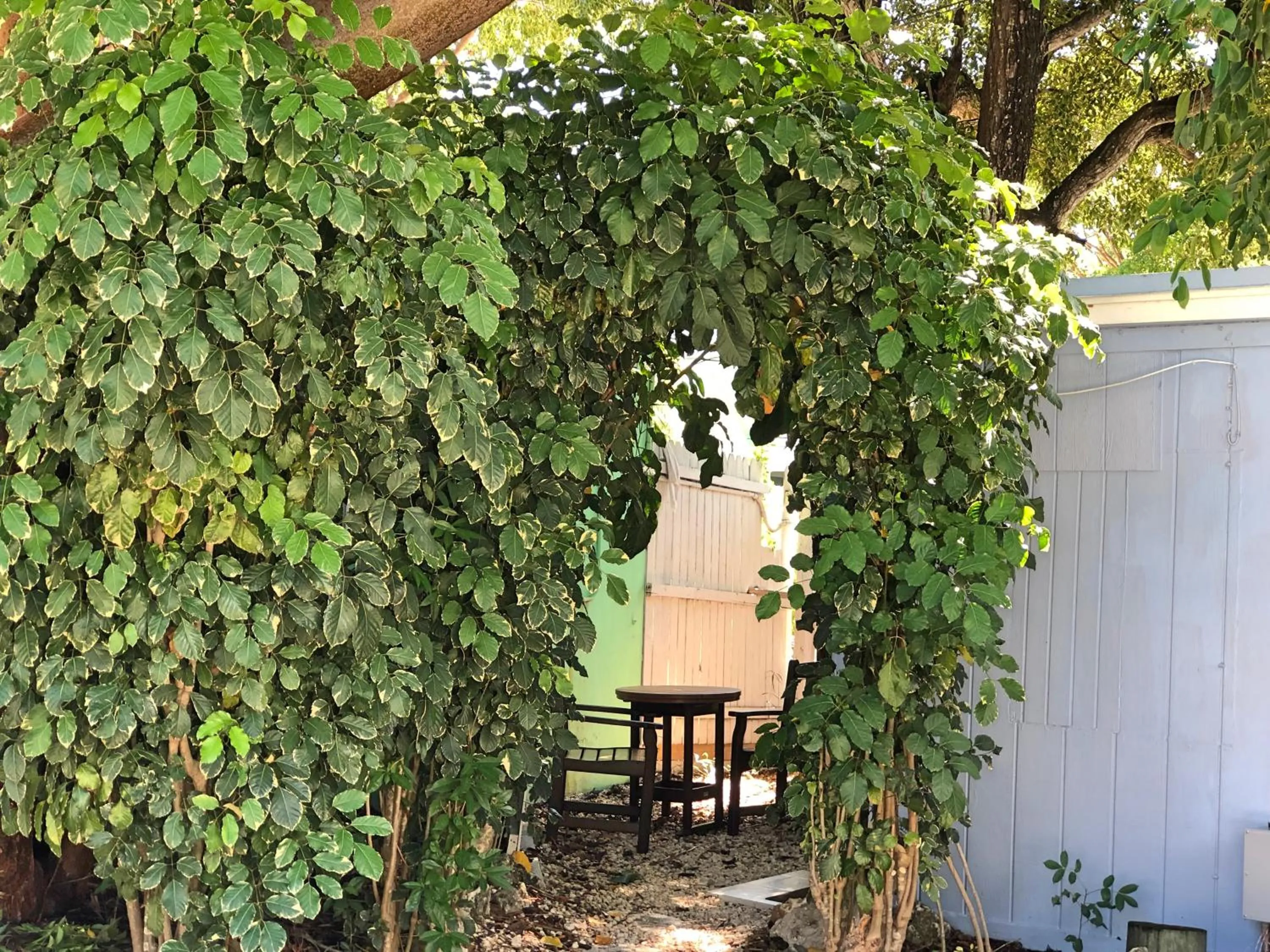 Patio in The Pelican Key Largo Cottages
