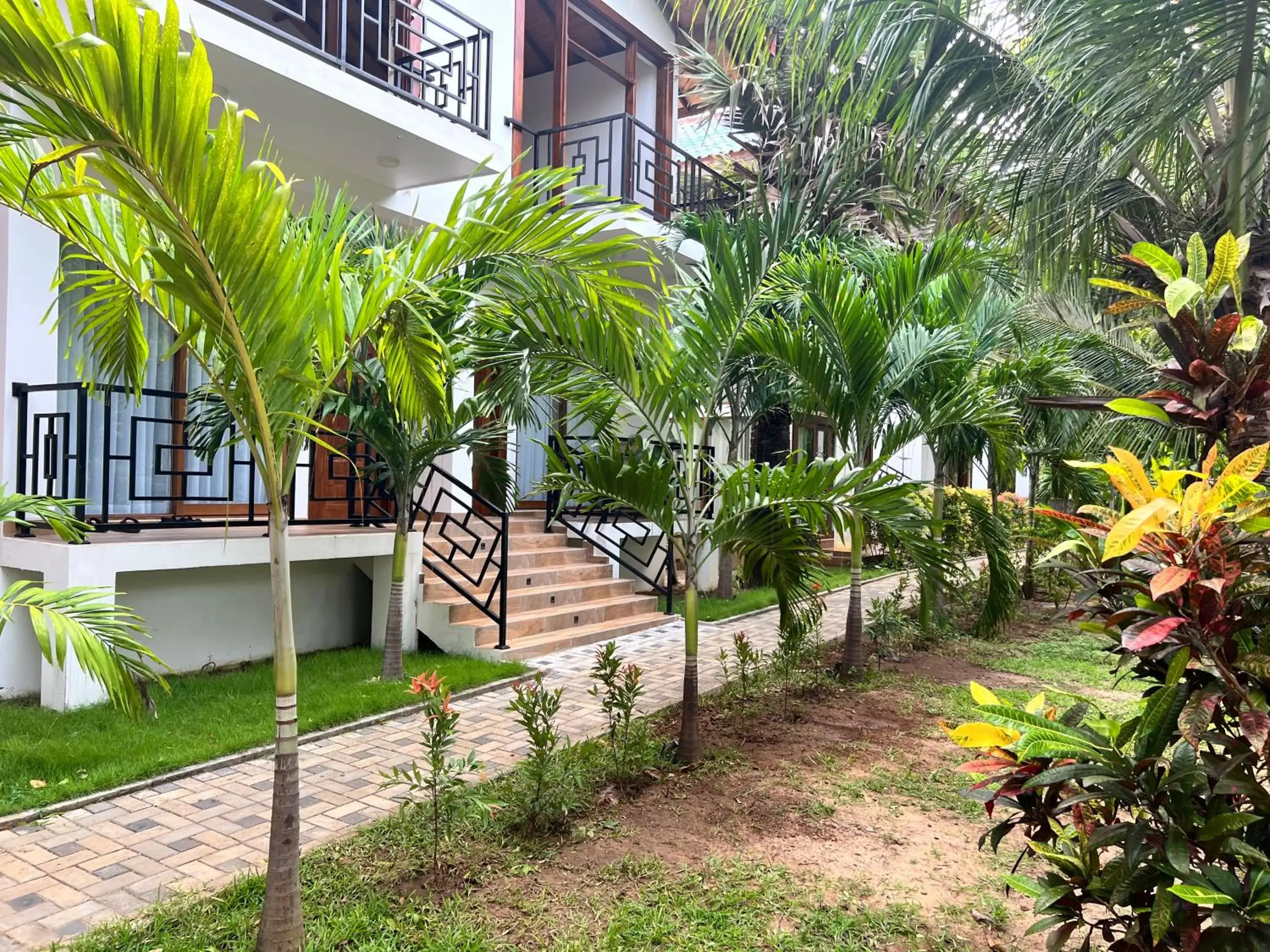 Deluxe Twin Room in Gatetrees resort Deluxe Twin Room in Gatetrees resort