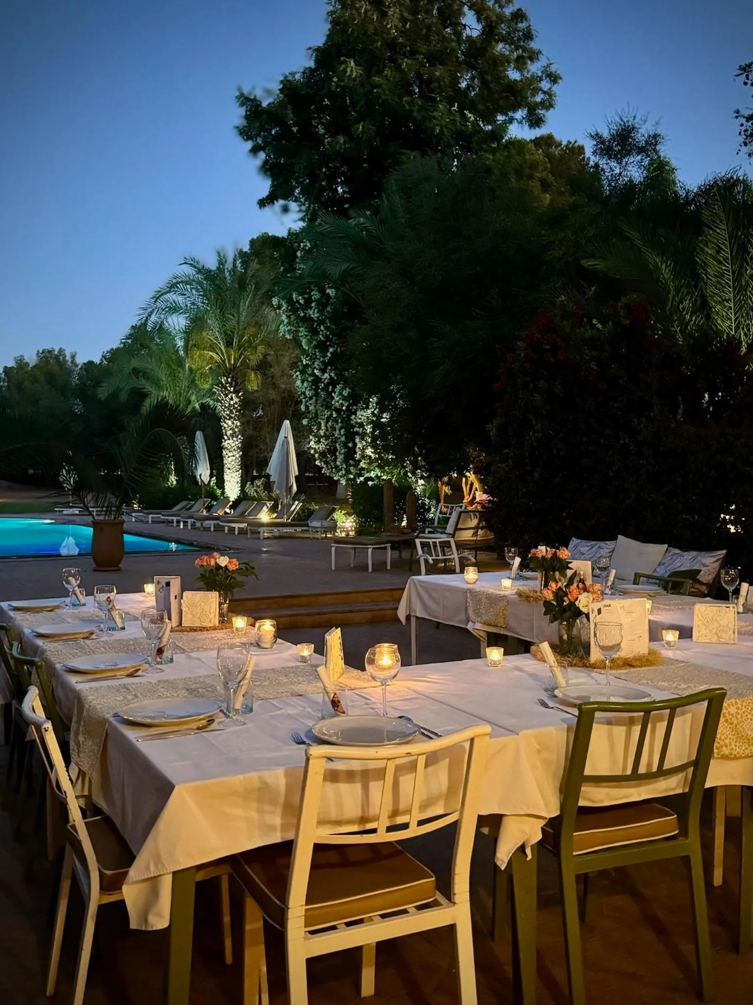 La Vie En Rose - Horses & Dogs House