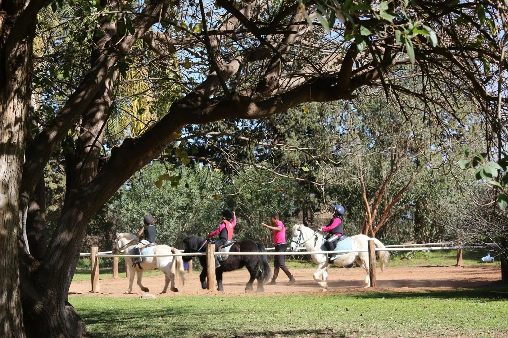Bedroom in La Vie En Rose - Horses & Dogs House