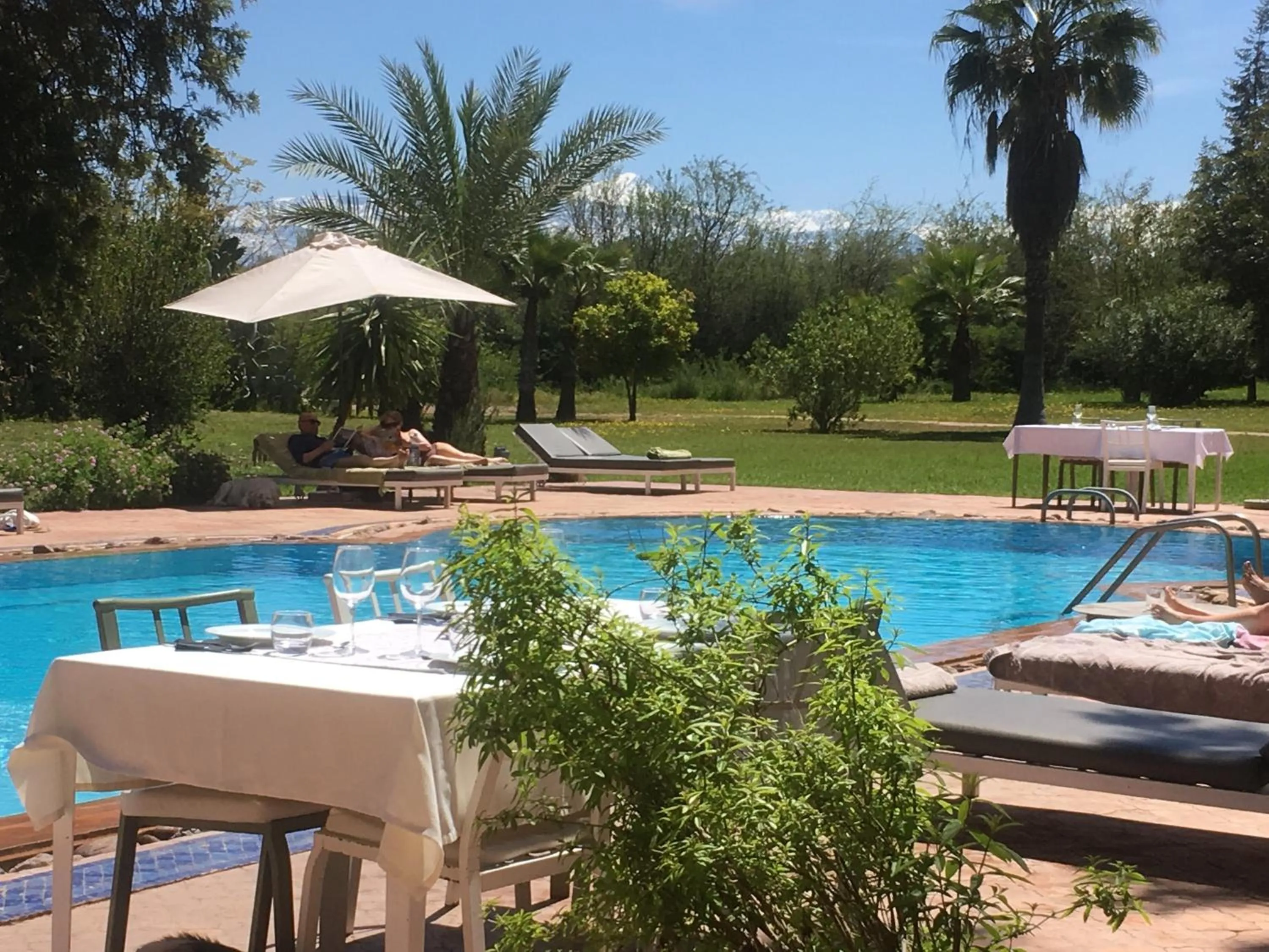 Pool view in La Vie En Rose - Horses & Dogs House