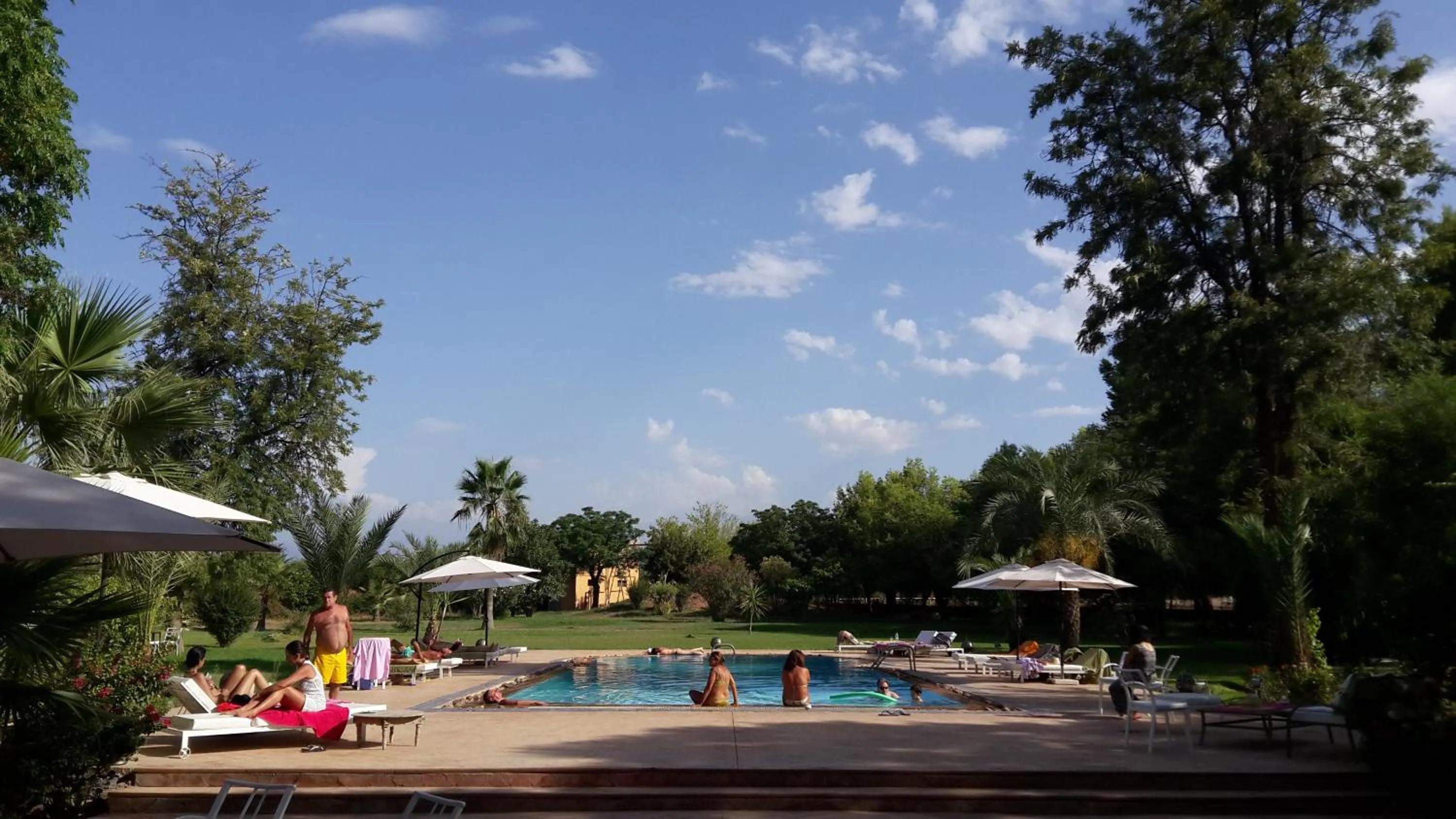 Pool view in La Vie En Rose - Horses & Dogs House