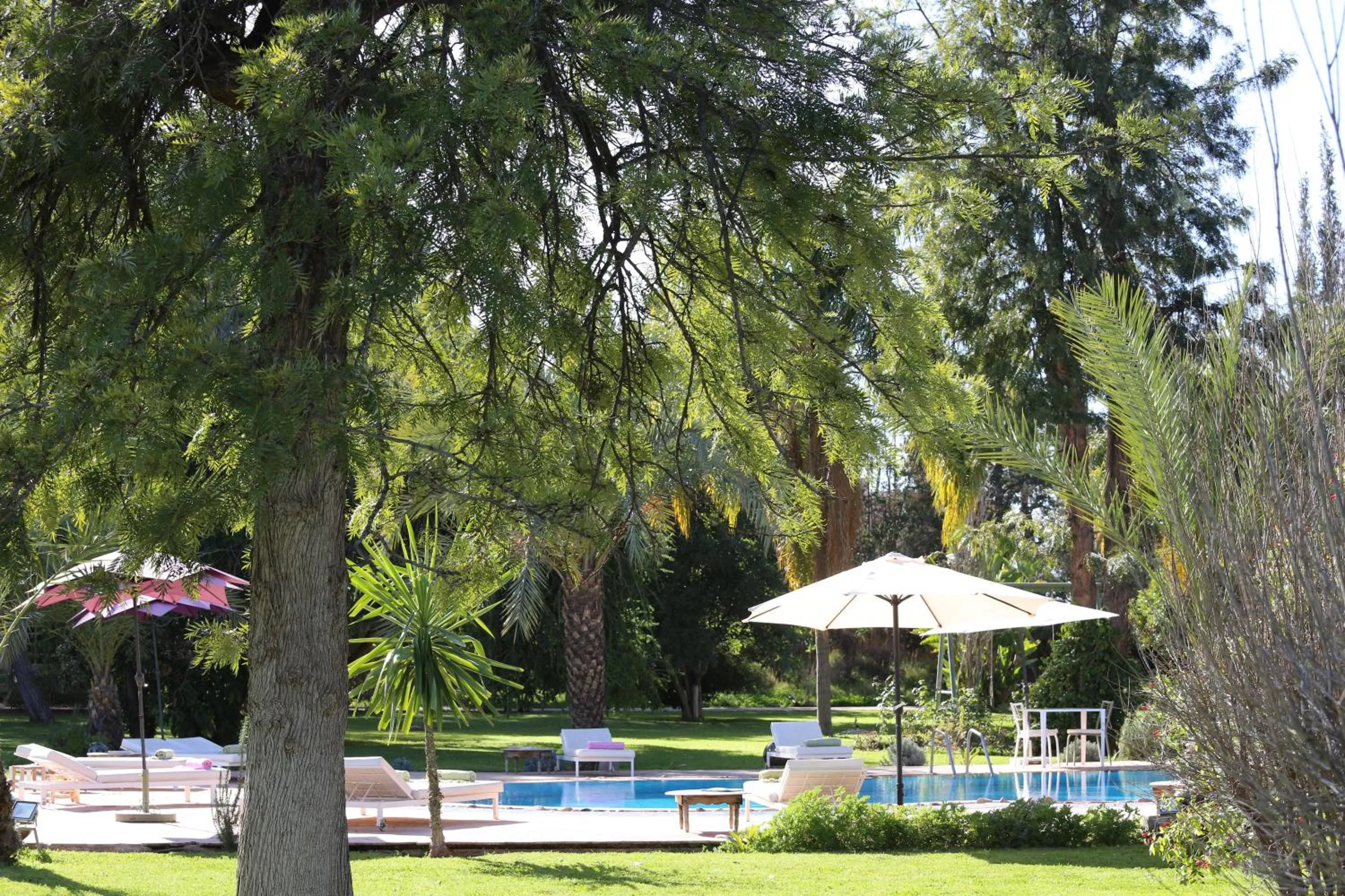 Horse-riding in La Vie En Rose - Horses & Dogs House