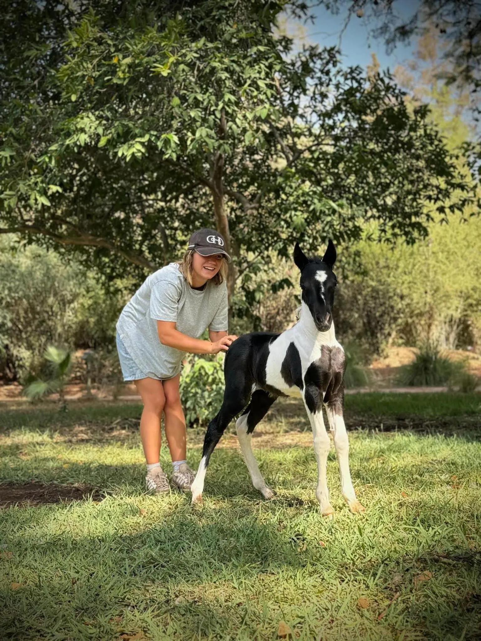Horse-riding in La Vie En Rose - Horses & Dogs House