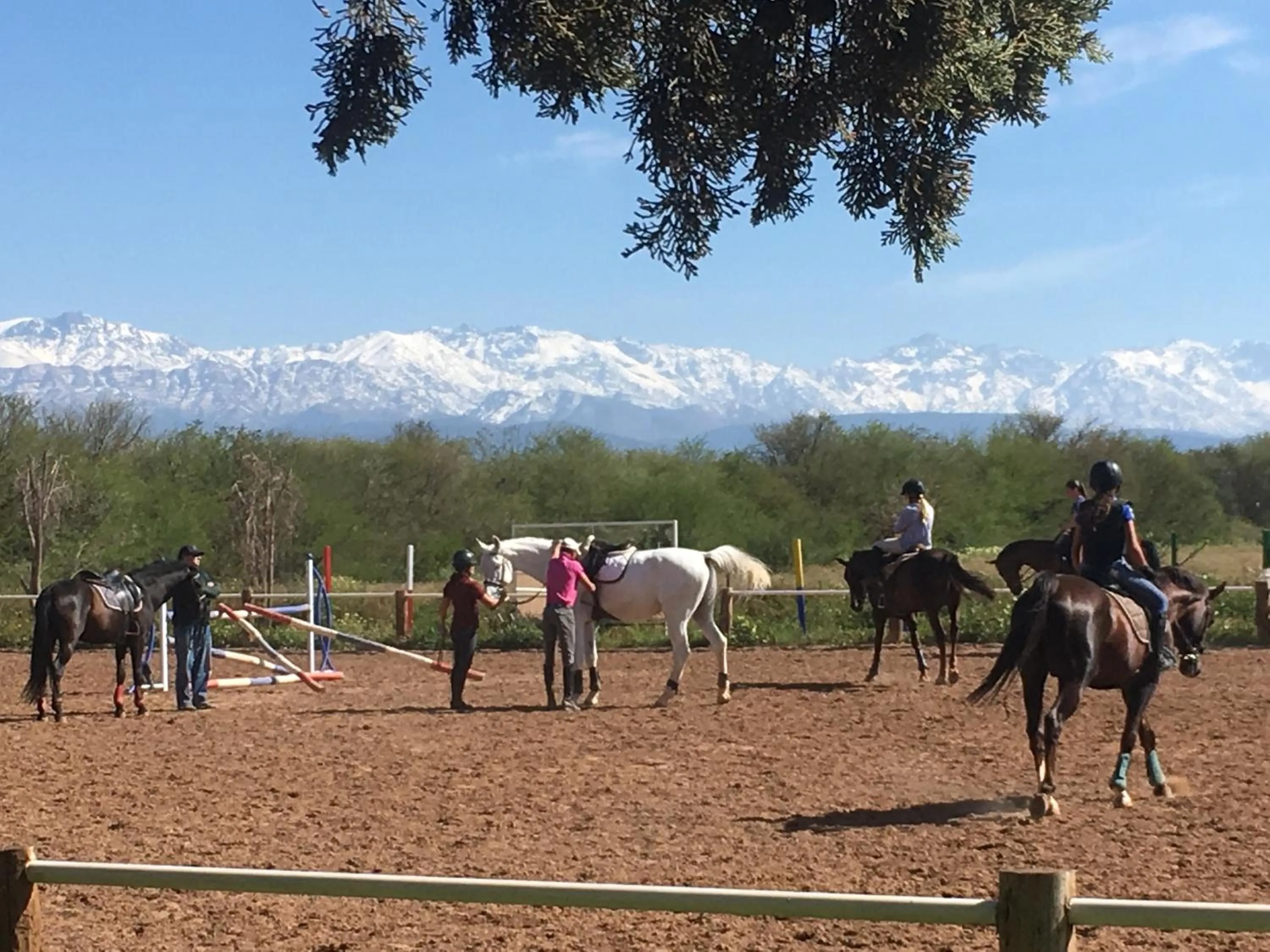 People in La Vie En Rose - Horses & Dogs House