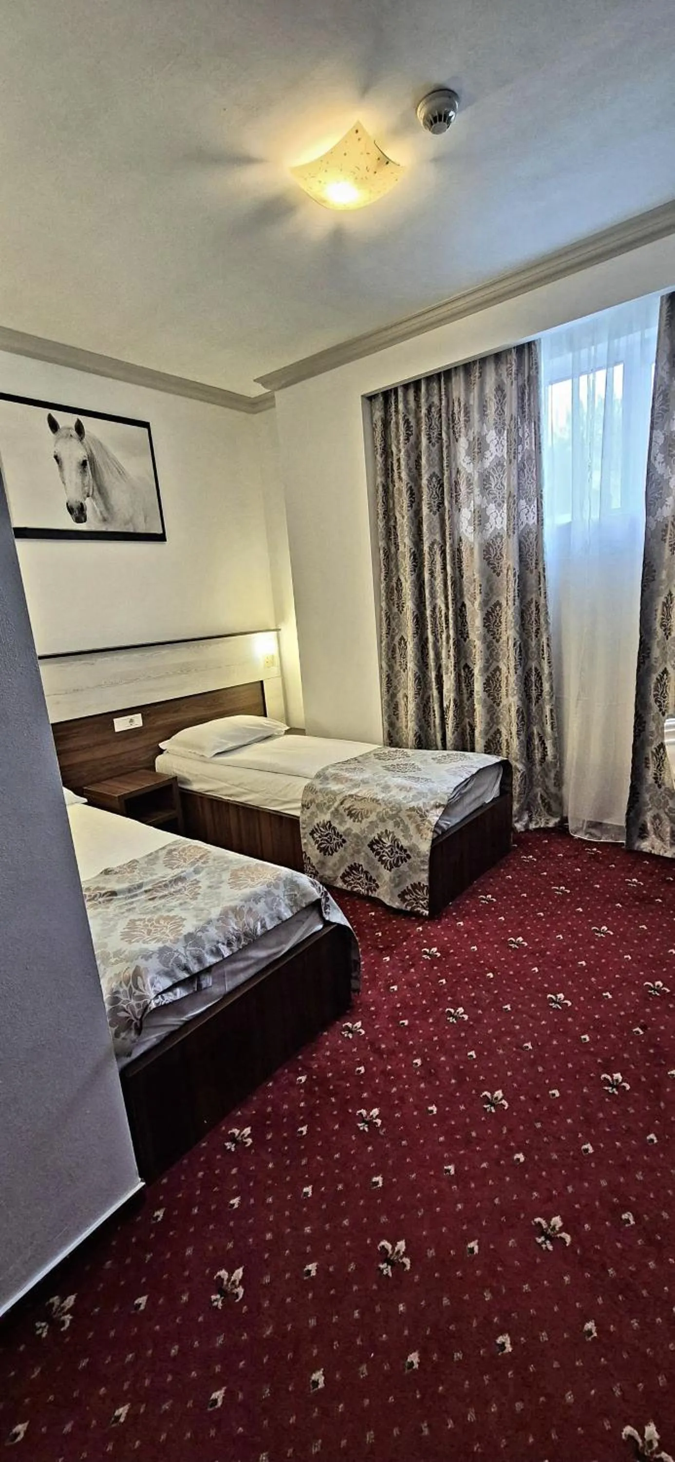 Bed in Hostel Orhideea