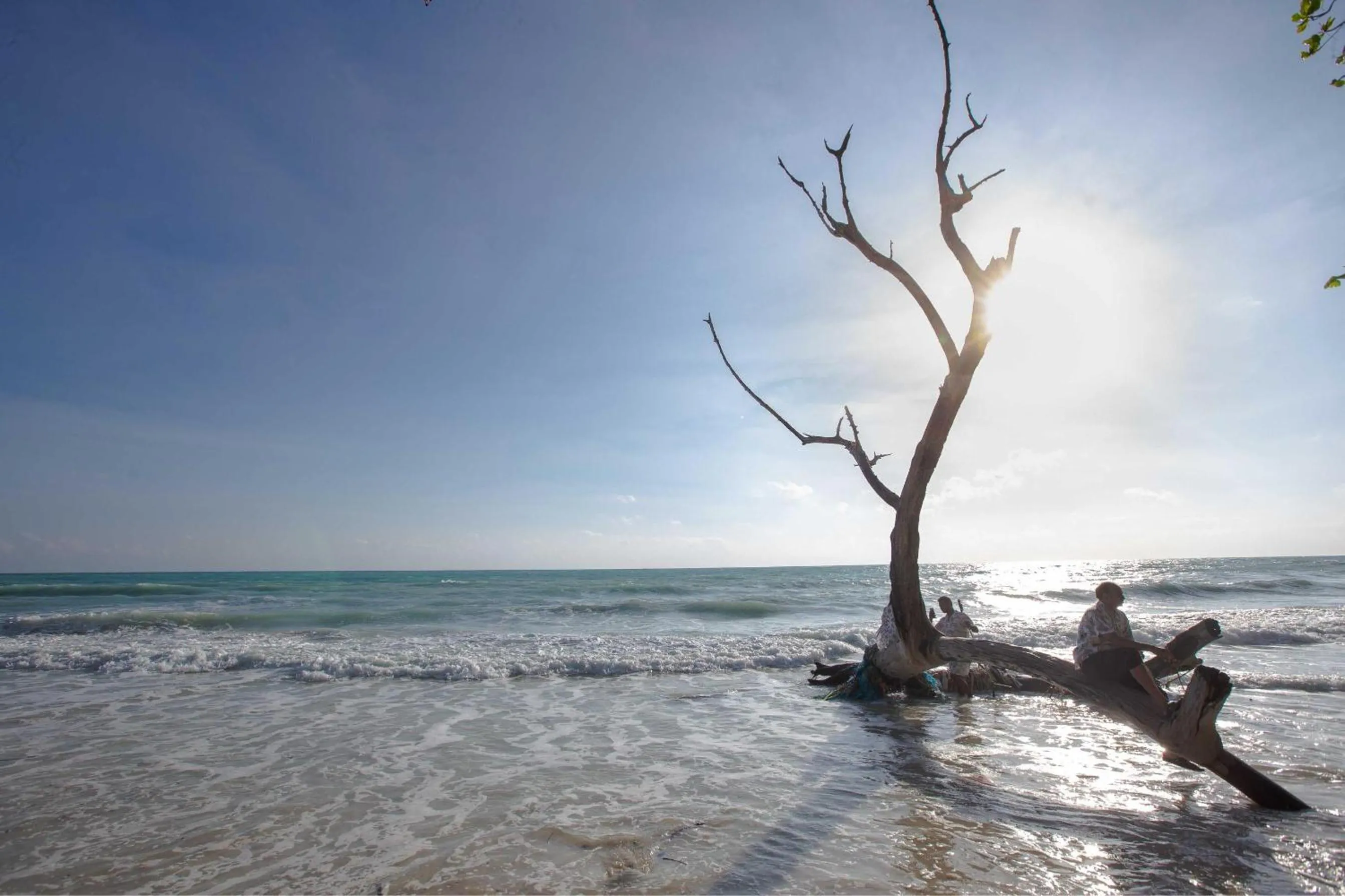 Other in Coral Reef Resort & Spa, Havelock