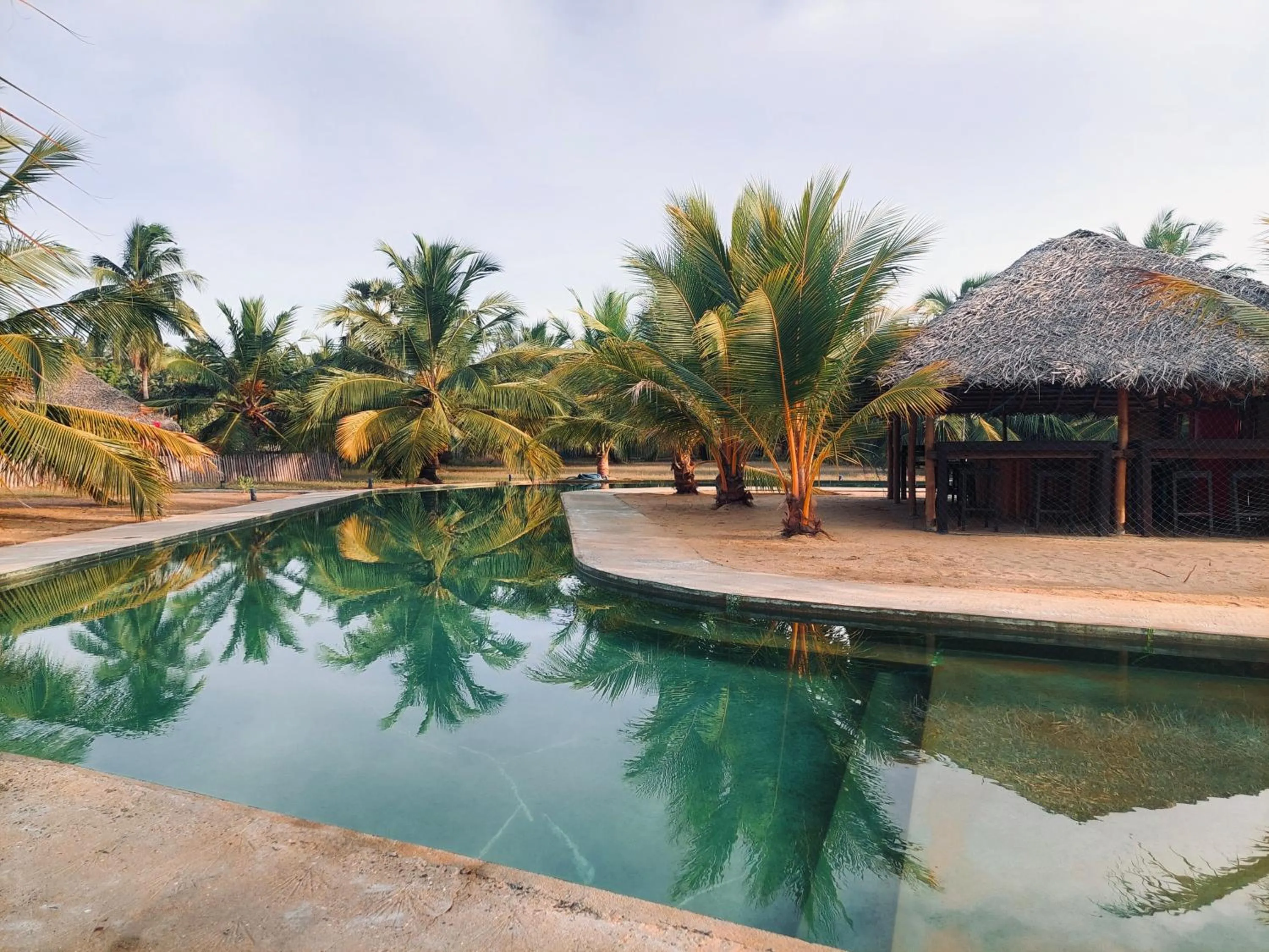 Pool view in The Cove Pasikuda - Eco Resort