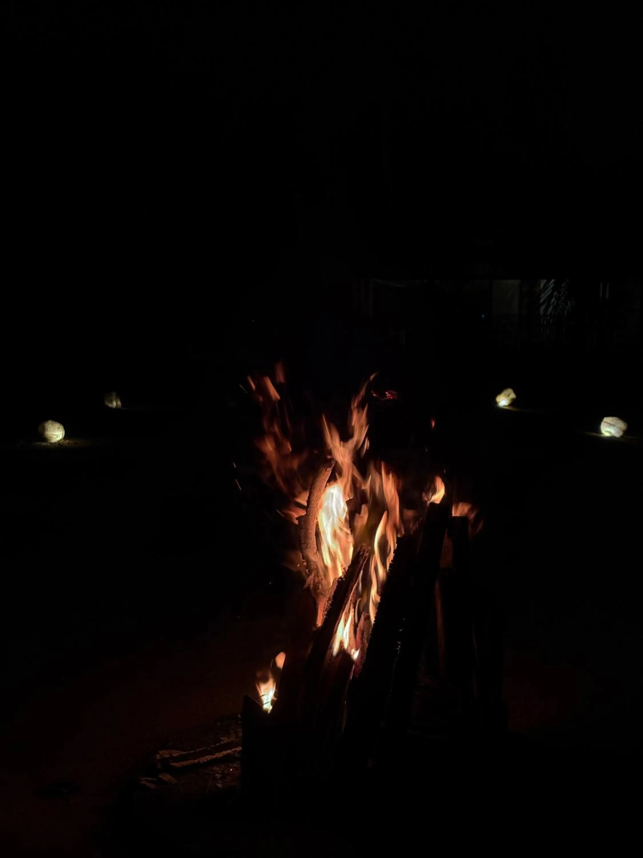 Night in The Cove Pasikuda - Eco Resort