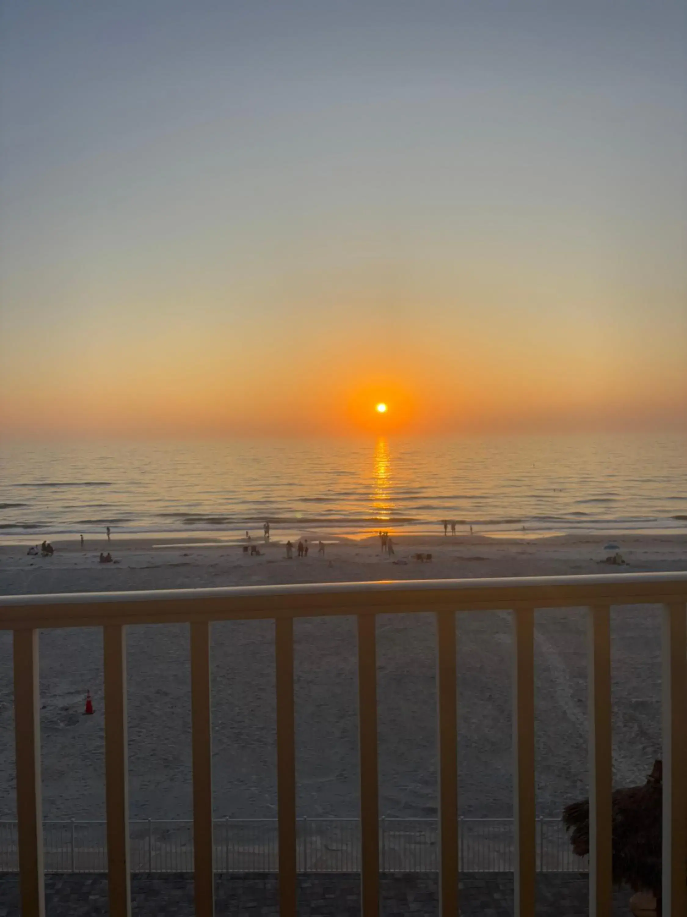 Sea Oats #303 Sea Oats #303