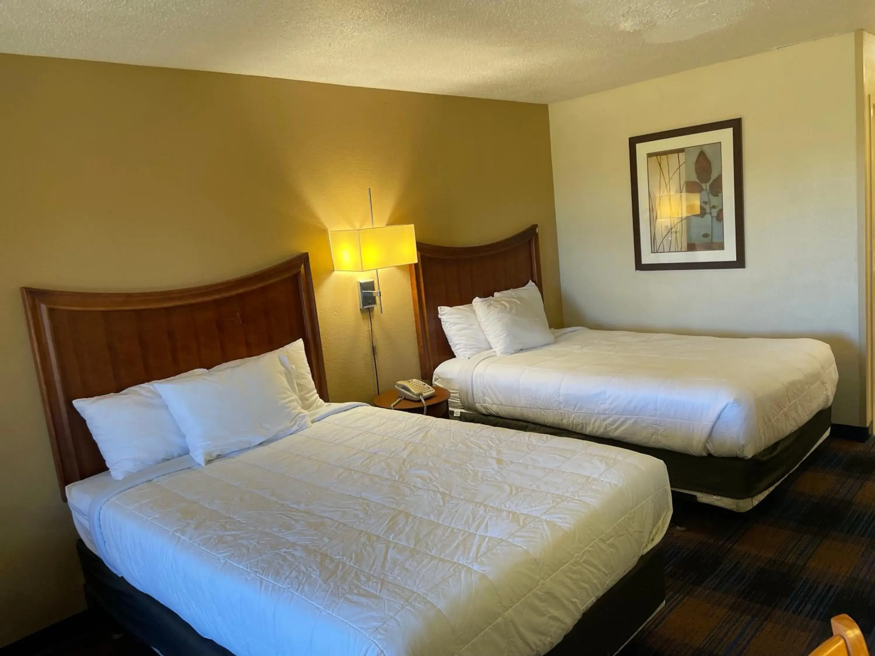 Double or Twin Room - single occupancy in Millennium Inn Double or Twin Room - single occupancy in Millennium Inn