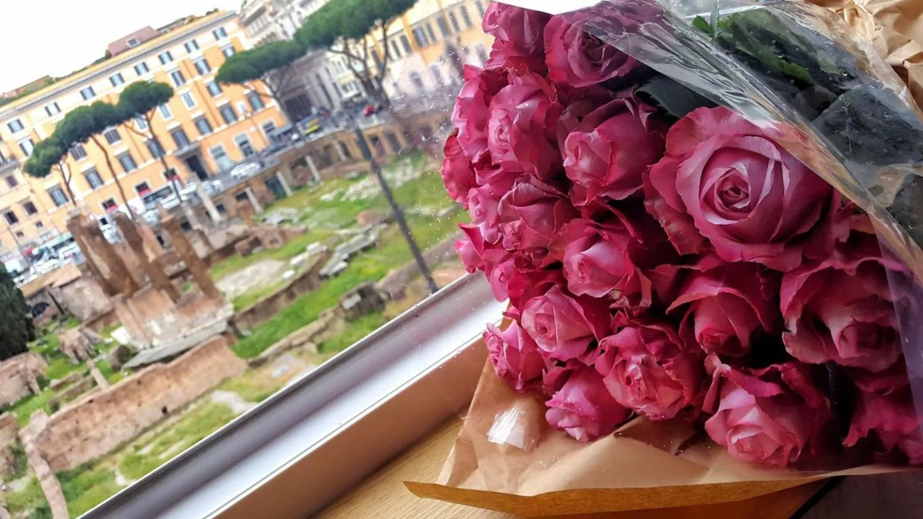 City view in Sun Suite Luxury Pantheon