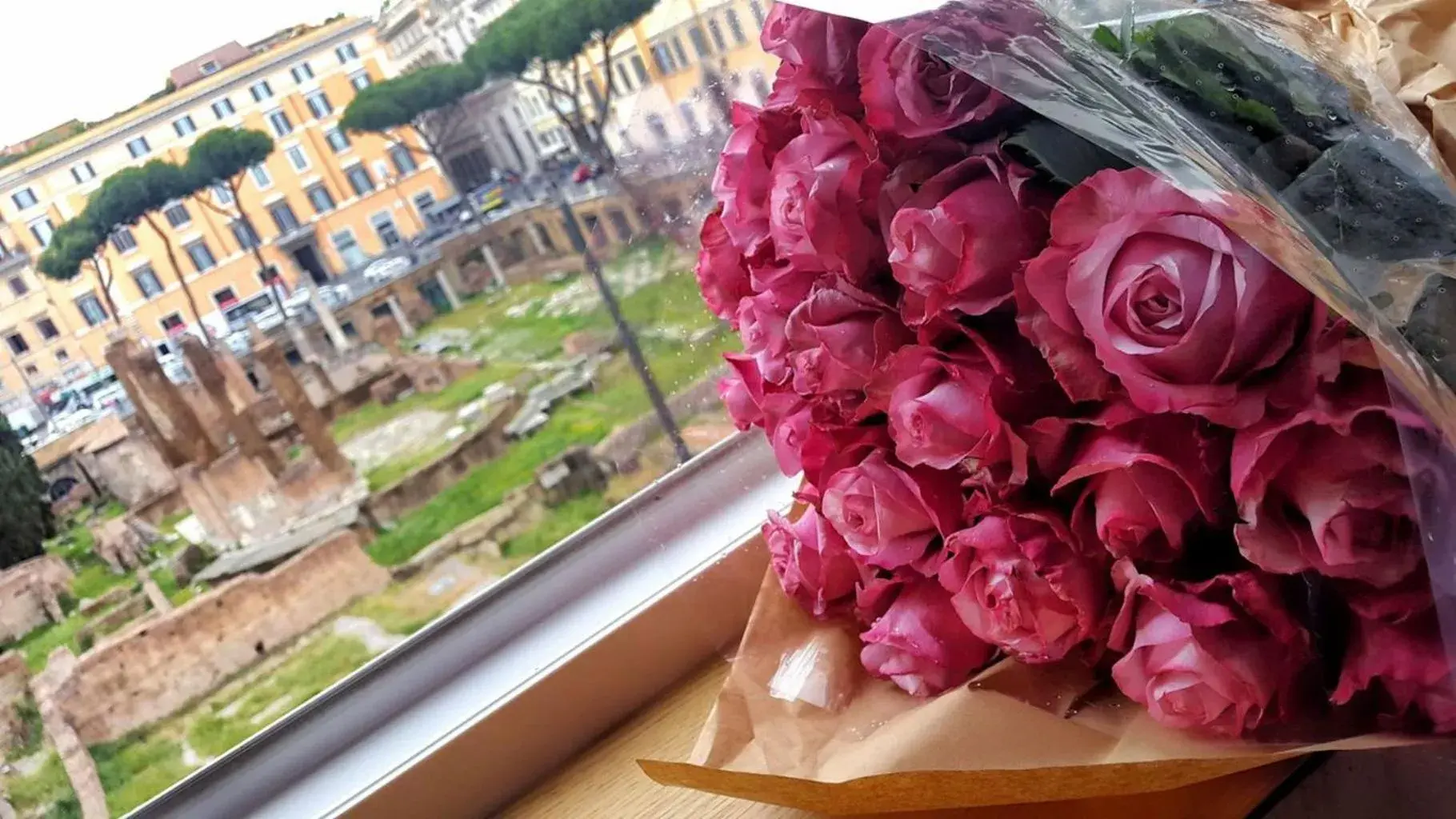 City view in Sun Suite Luxury Pantheon City view in Sun Suite Luxury Pantheon