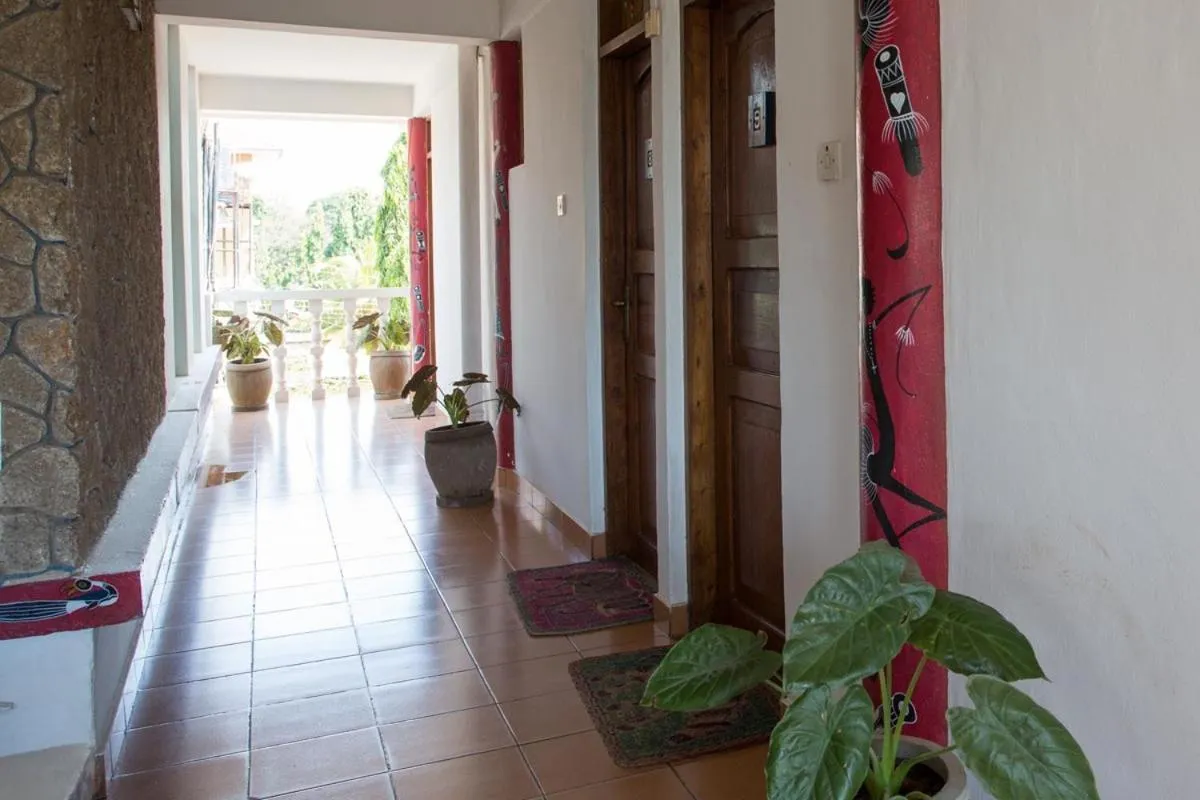 Property building in Q-Bar & Guesthouse