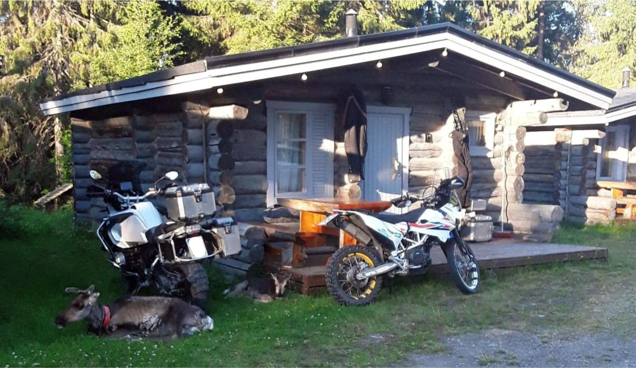 Animals in Cottages RukaTupa