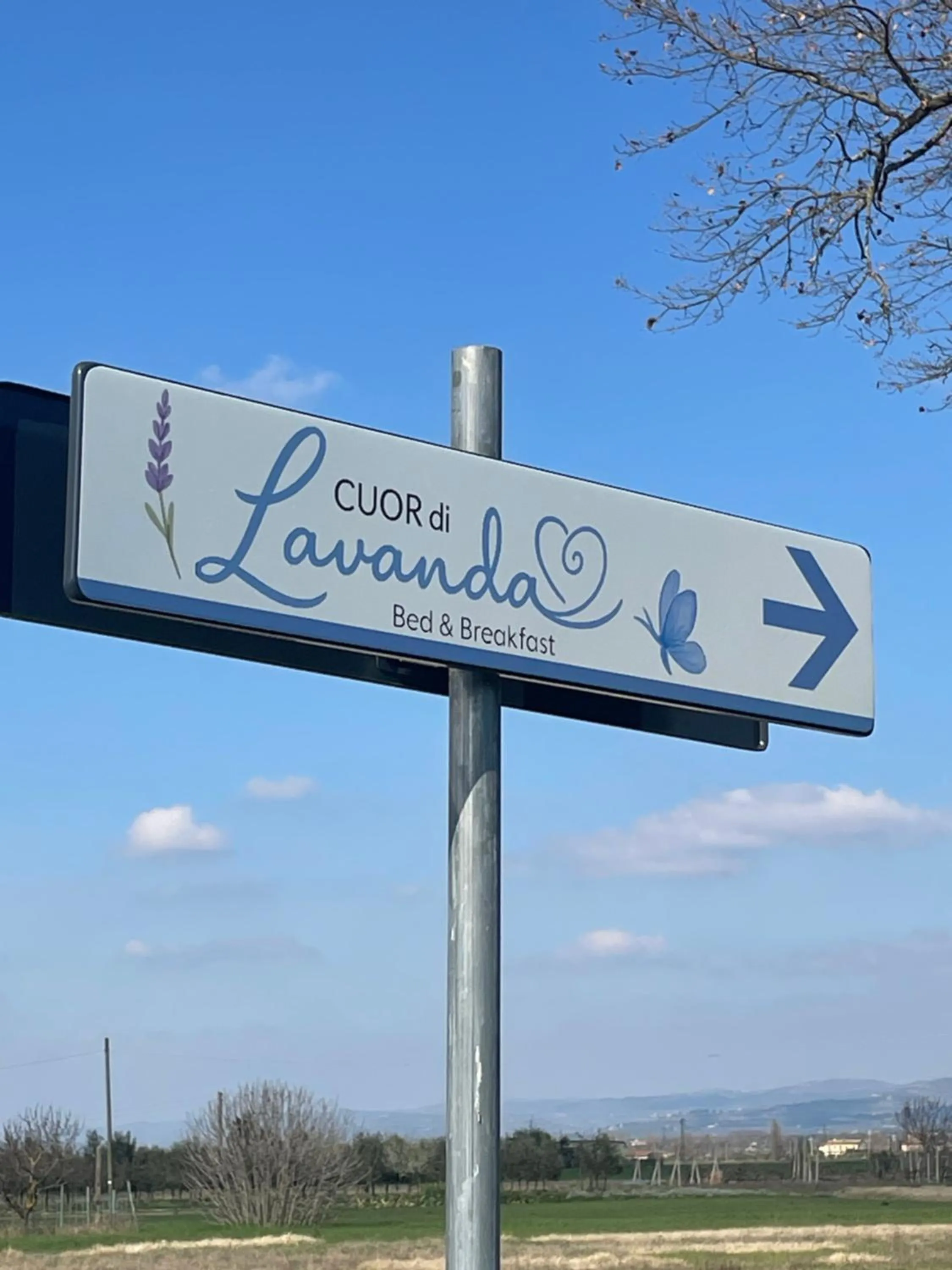 B&B Cuor Di Lavanda