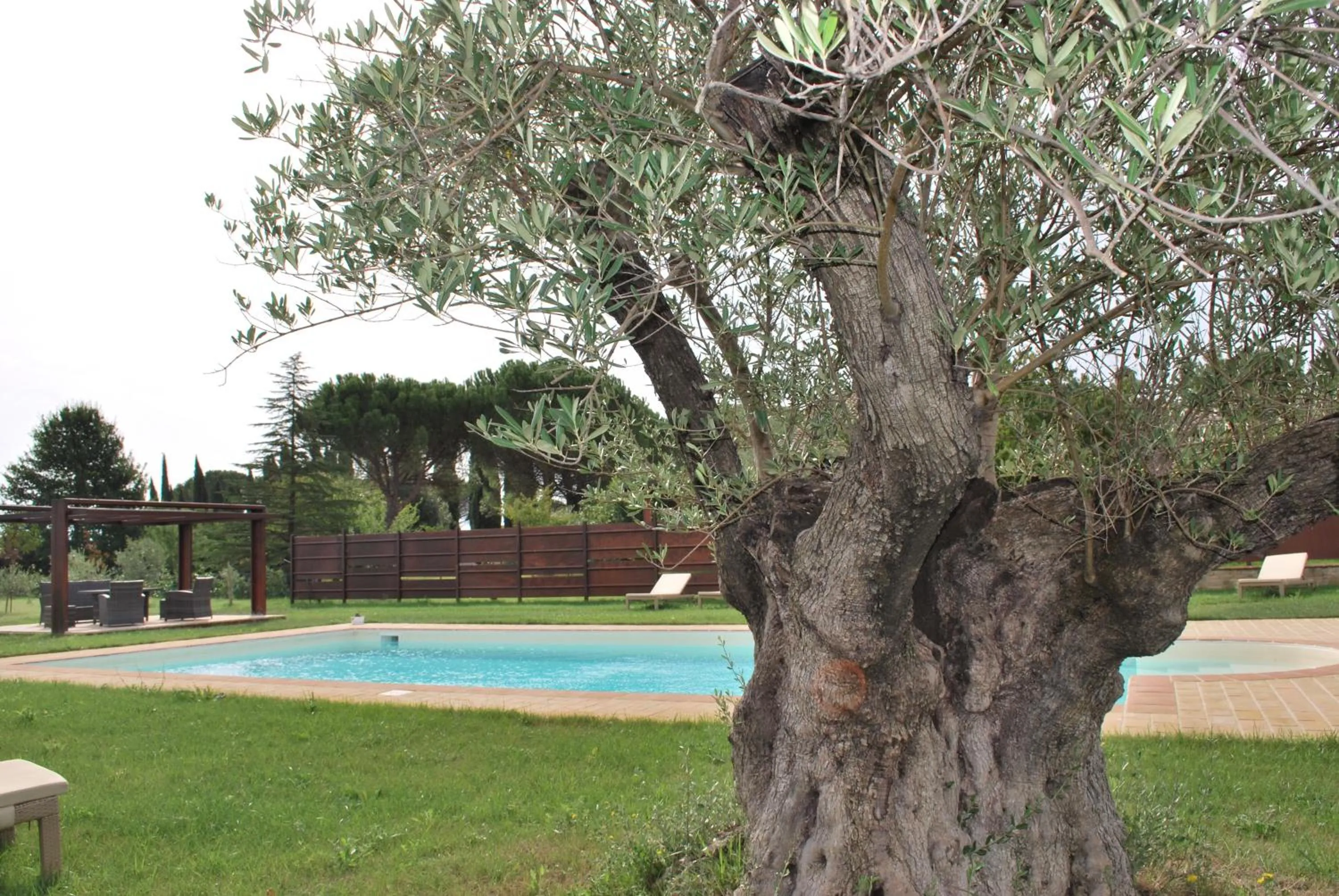 Swimming pool in B&B Cuor Di Lavanda