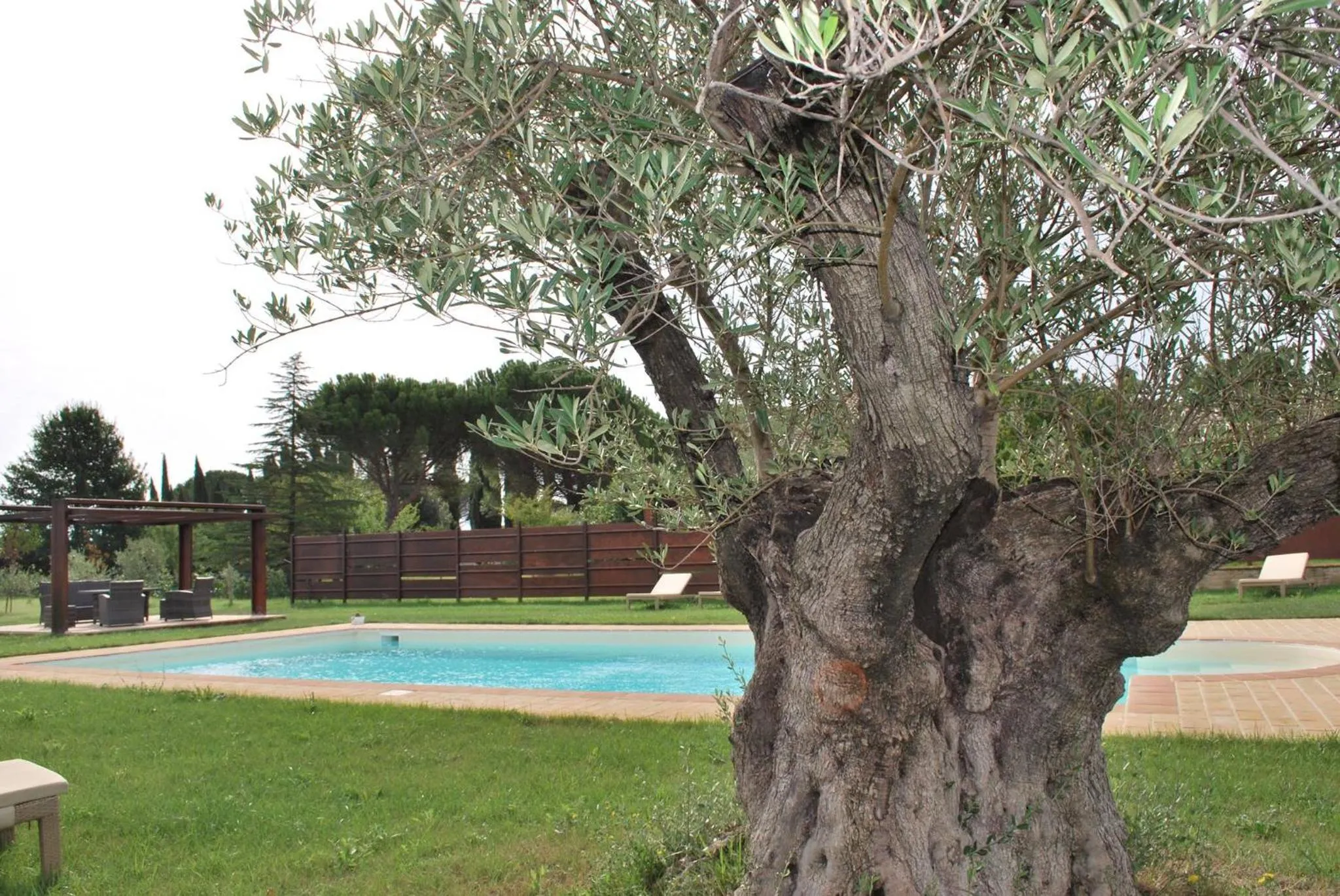 Swimming pool in B&B Cuor Di Lavanda