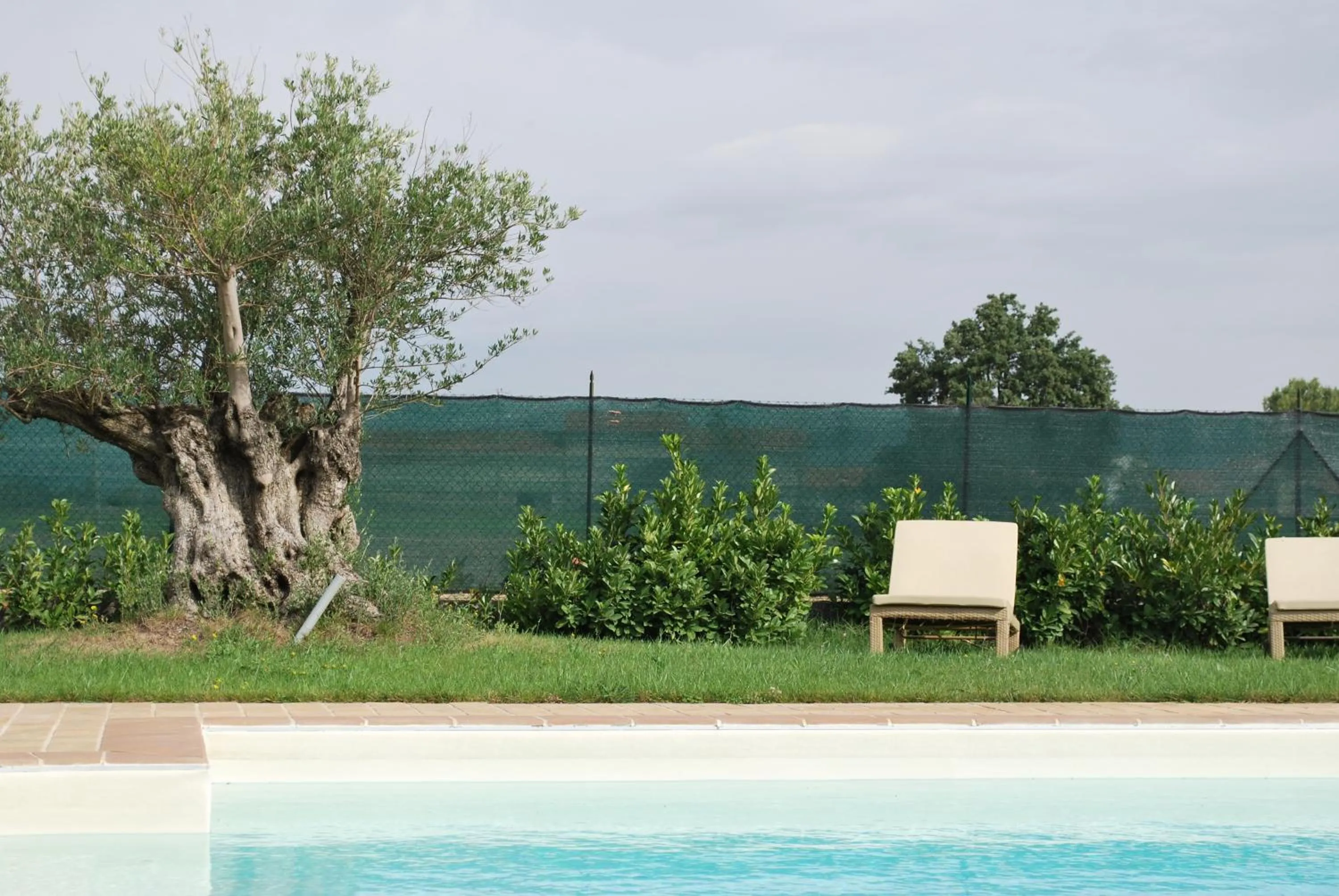 Pool view in B&B Cuor Di Lavanda