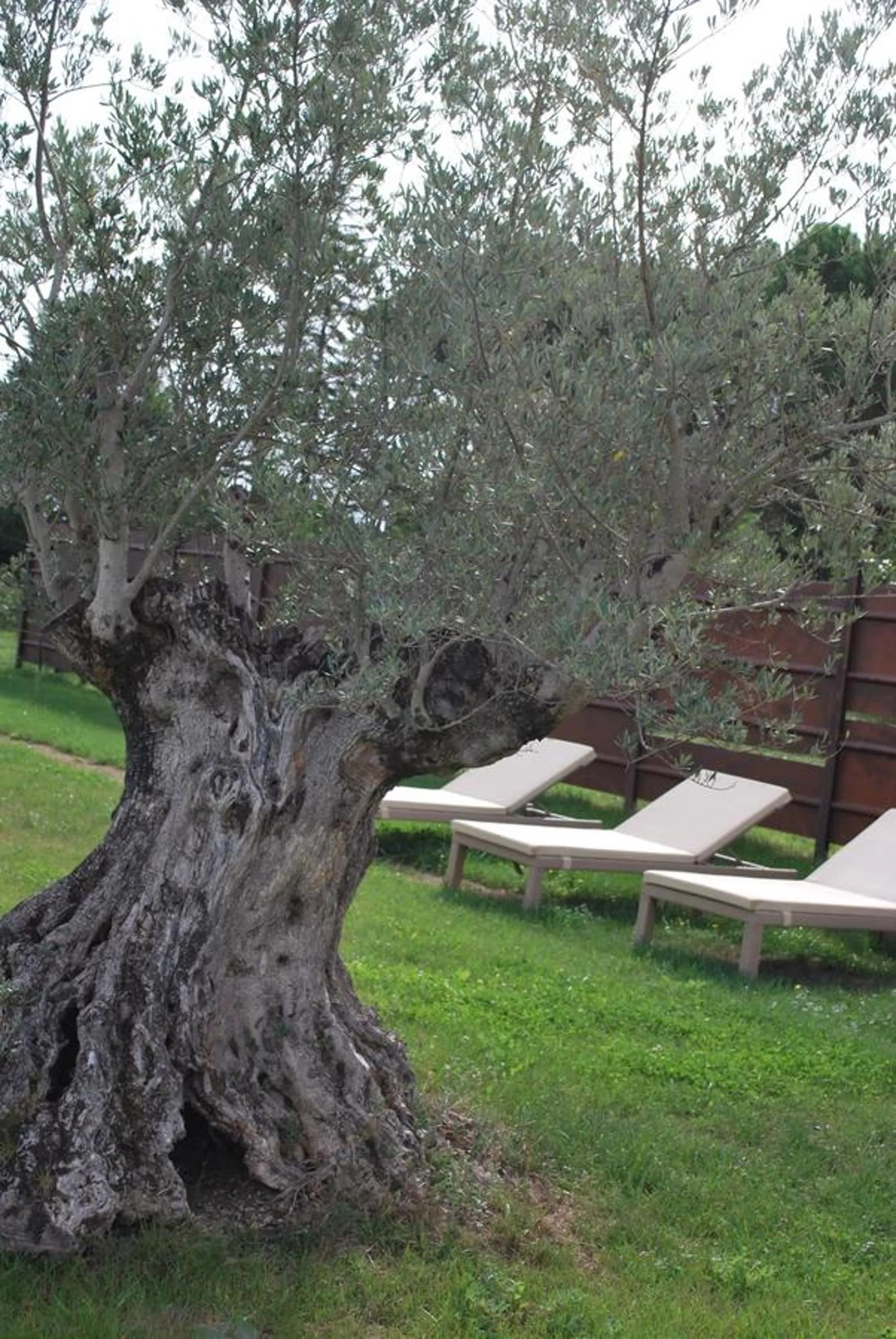 Garden view in B&B Cuor Di Lavanda