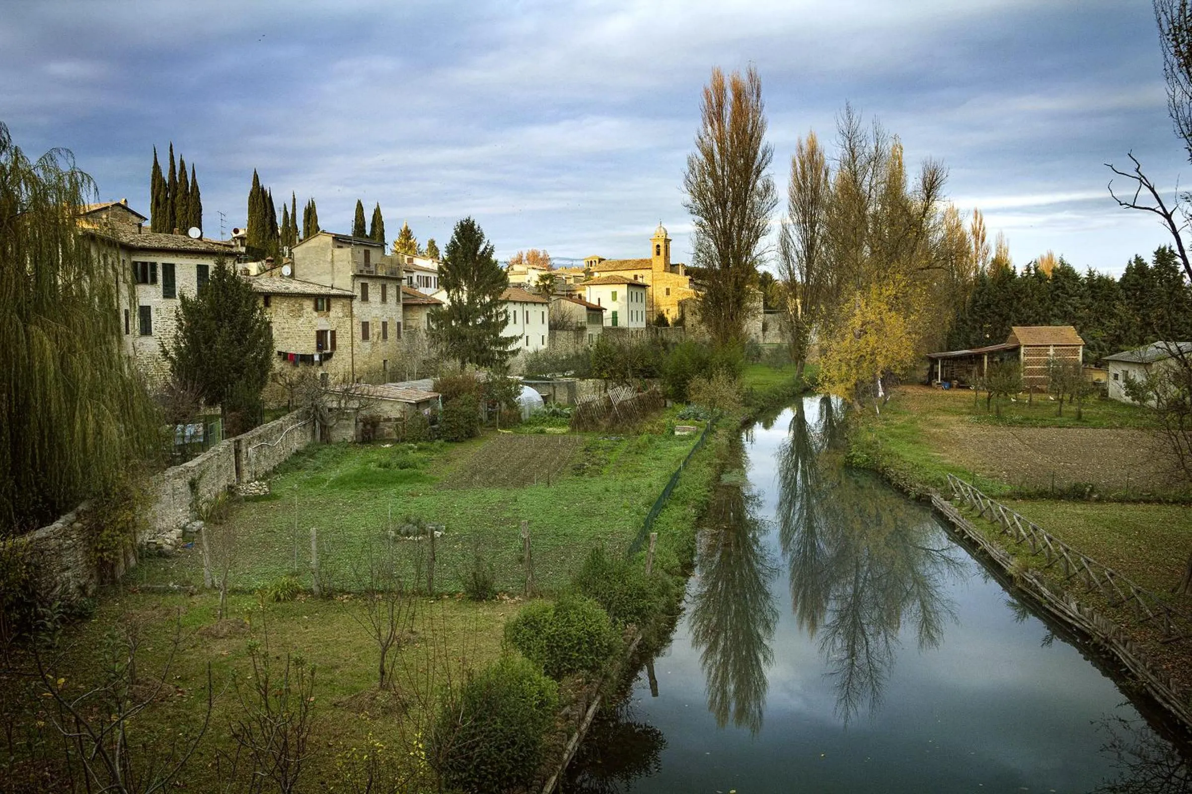View (from property/room) in B&B Cuor Di Lavanda