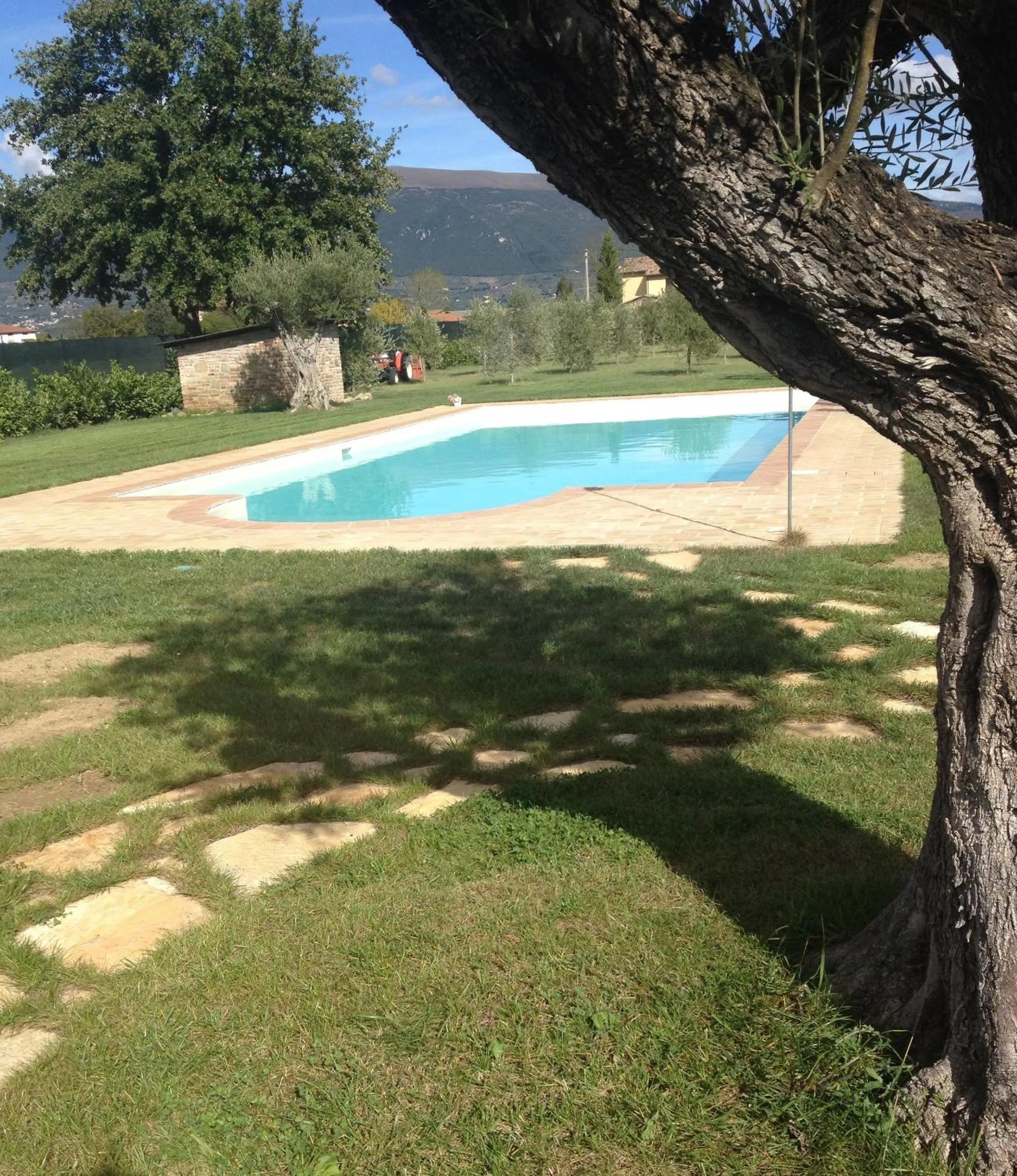 Swimming pool in B&B Cuor Di Lavanda