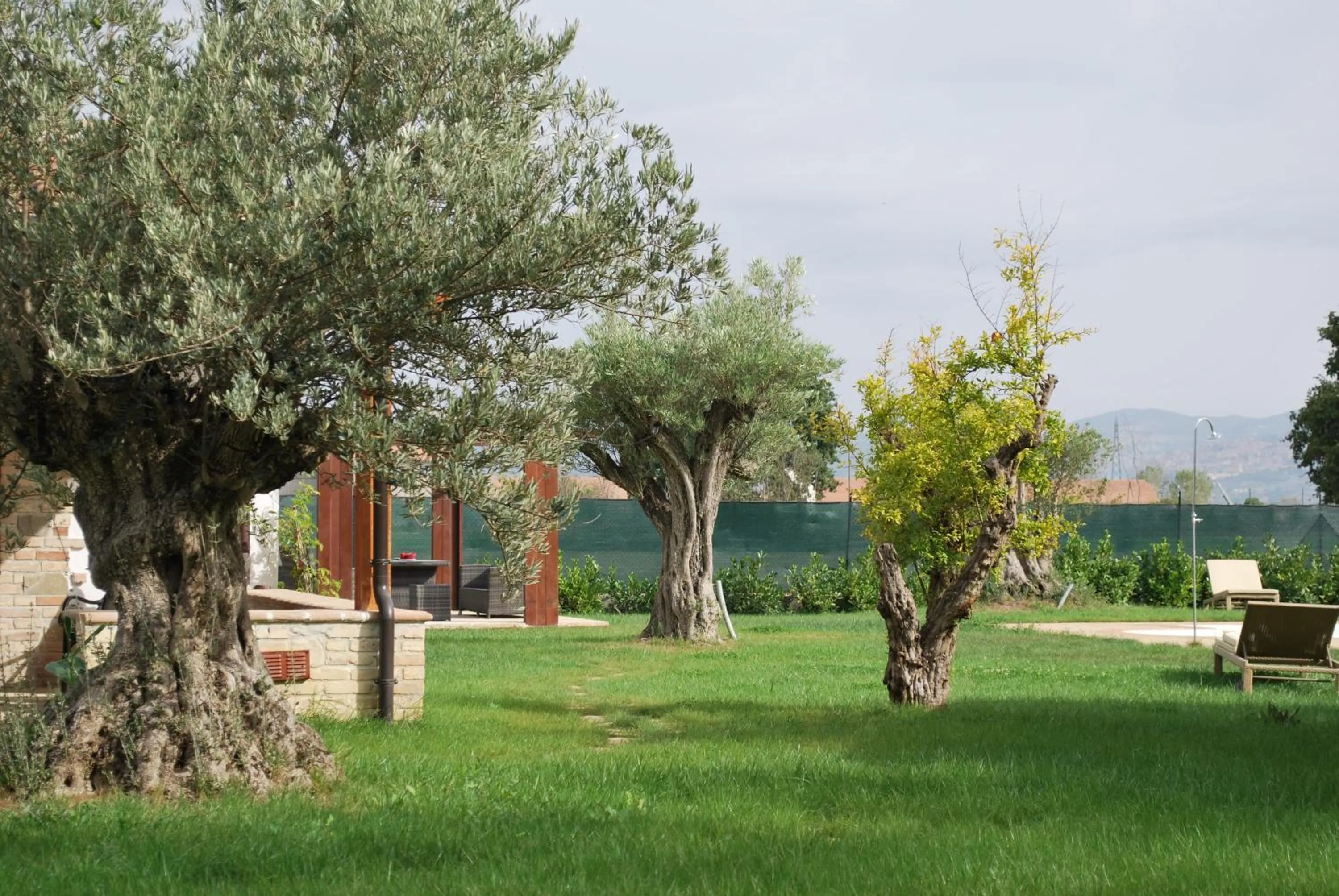 Garden view in B&B Cuor Di Lavanda