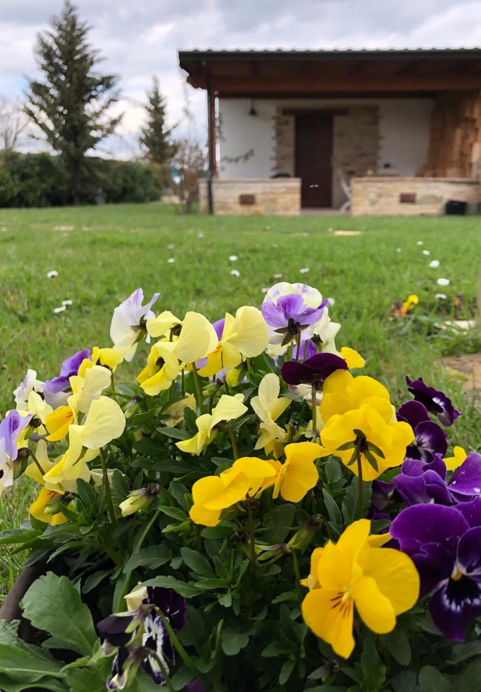 Garden in B&B Cuor Di Lavanda