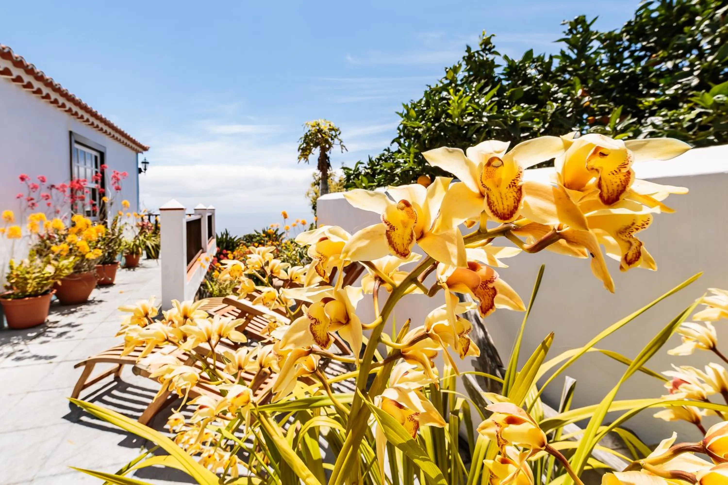 Casa Rural Fidel