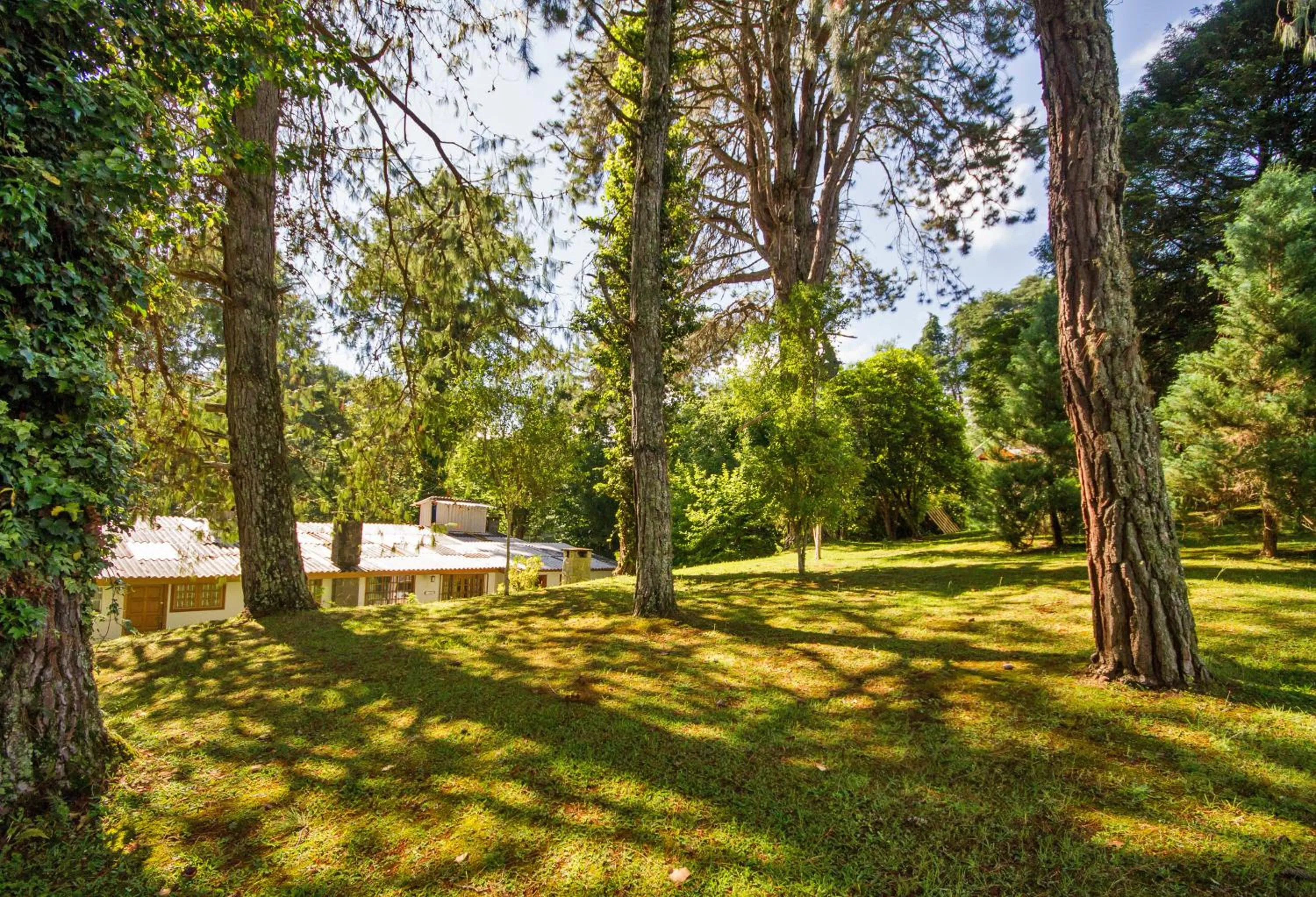 Garden view in Villa Vintage Campos - Piscina e opções de suites com hidromassagem