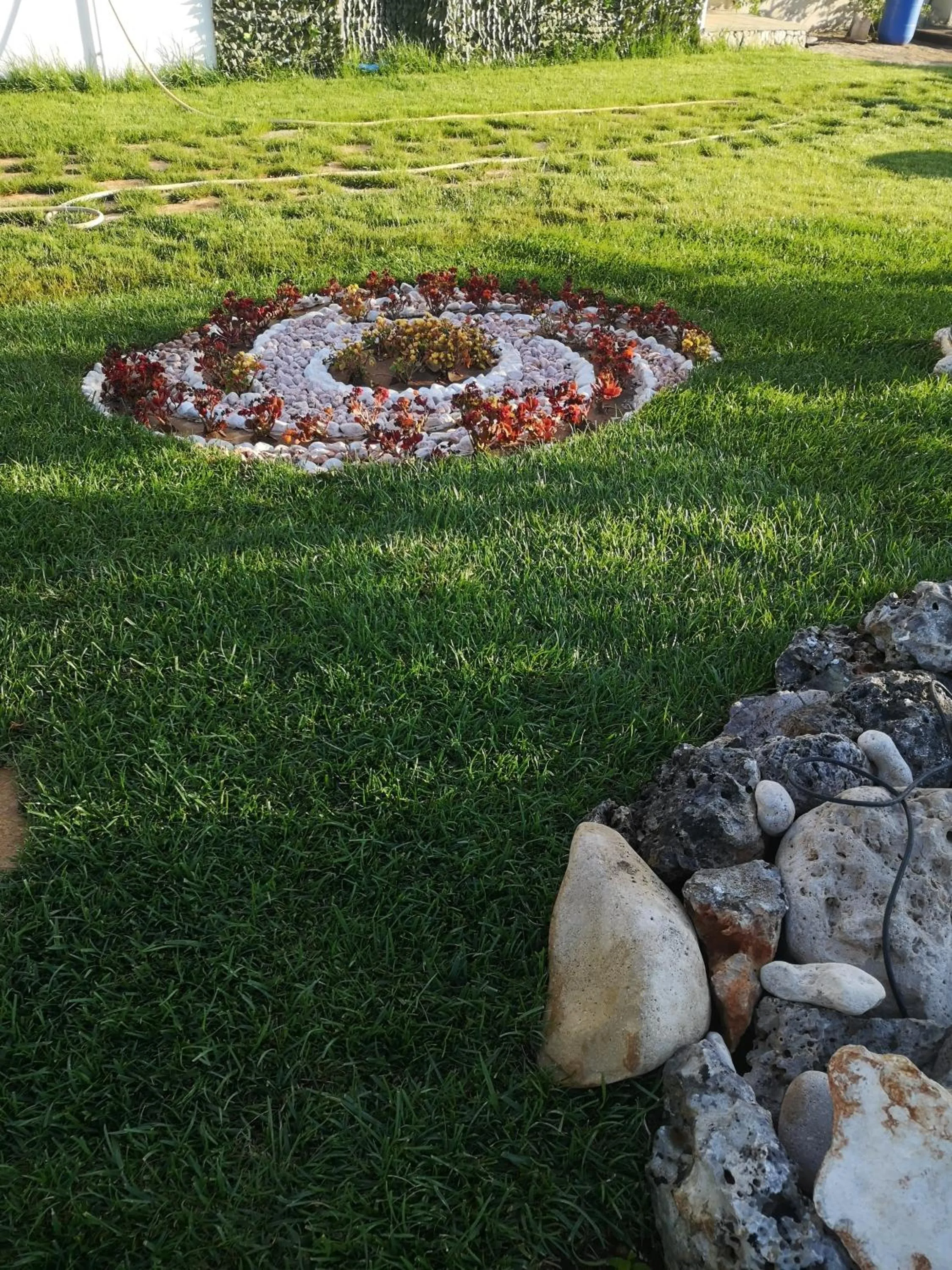 Garden view in Aura Solis B&B