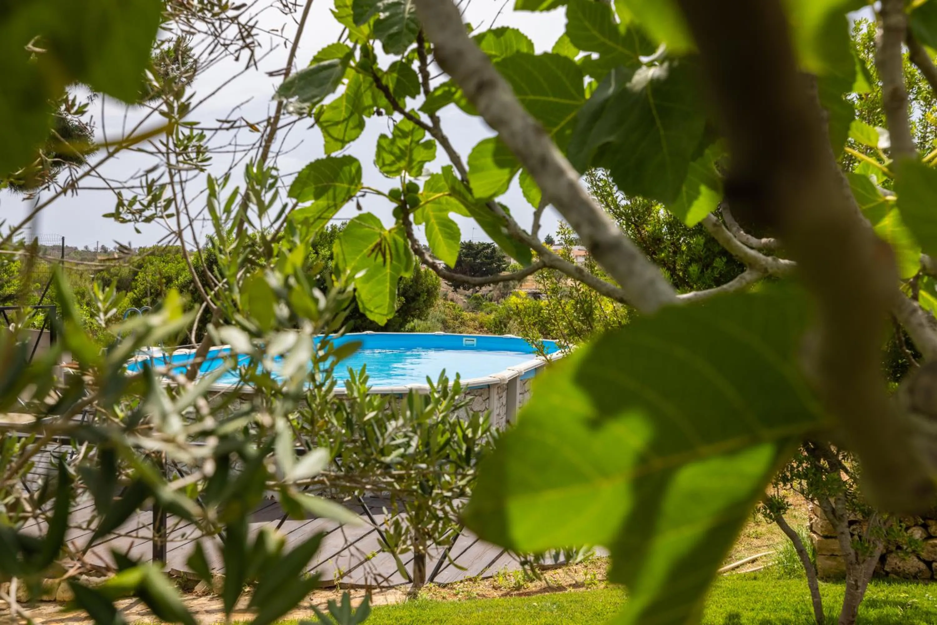 Pool view in Aura Solis B&B