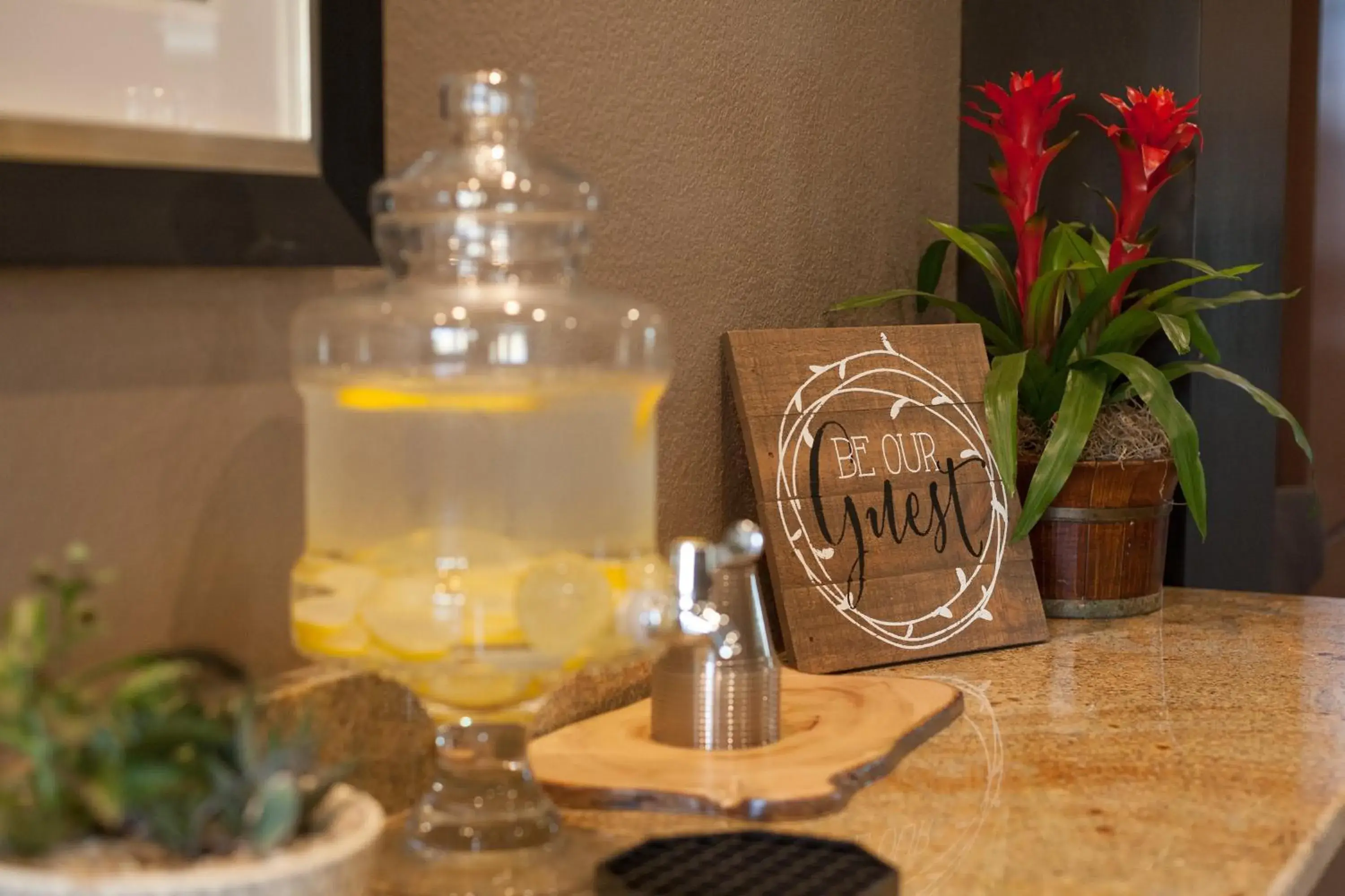 Property building in Staybridge Suites Austin North - Parmer Lane, an IHG Hotel Property building in Staybridge Suites Austin North - Parmer Lane, an IHG Hotel