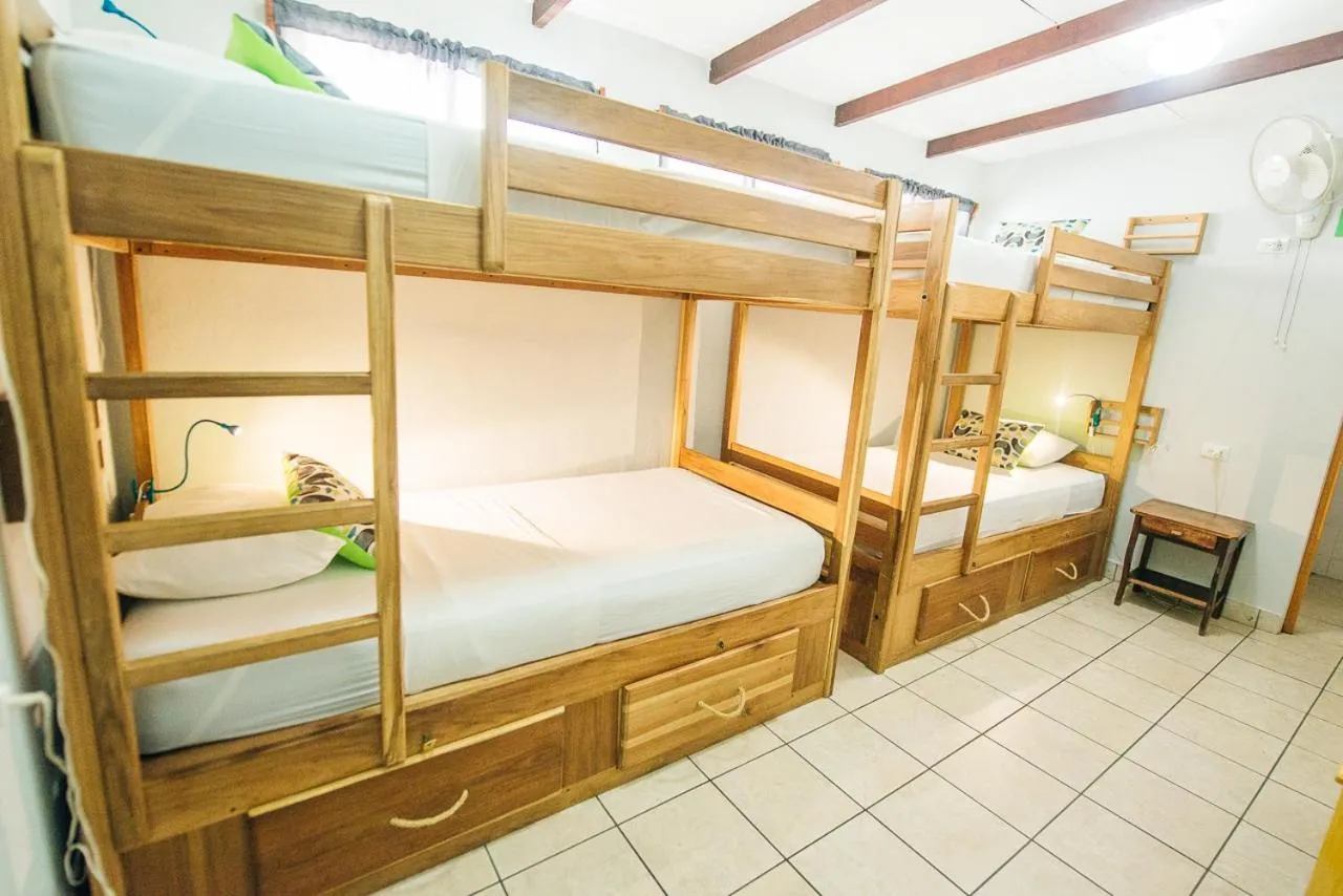 Bed in 4-Bed Mixed Dormitory Room in La Bicicleta Hostal
