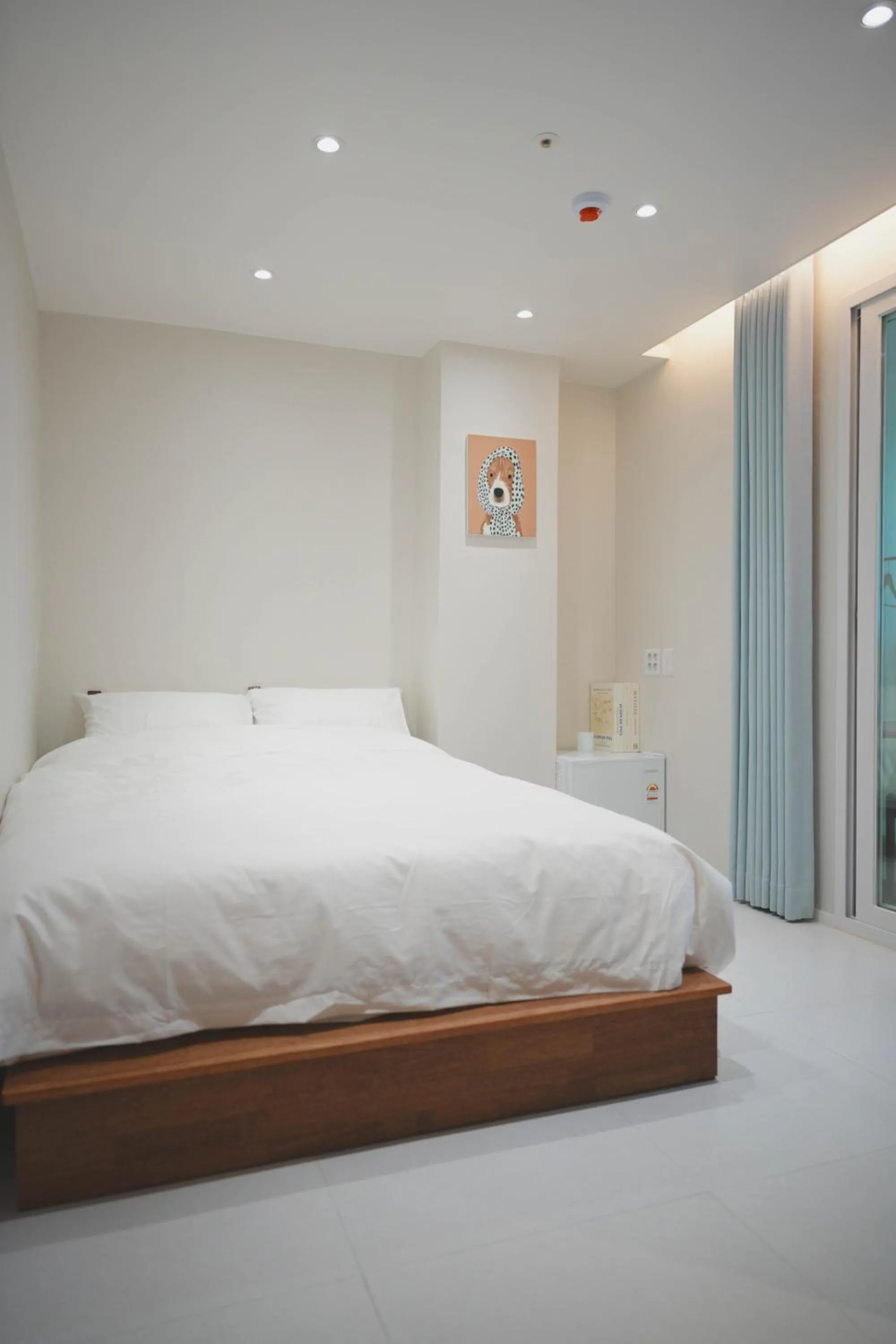 Bed in Stay Hello Hongdae Sinchon