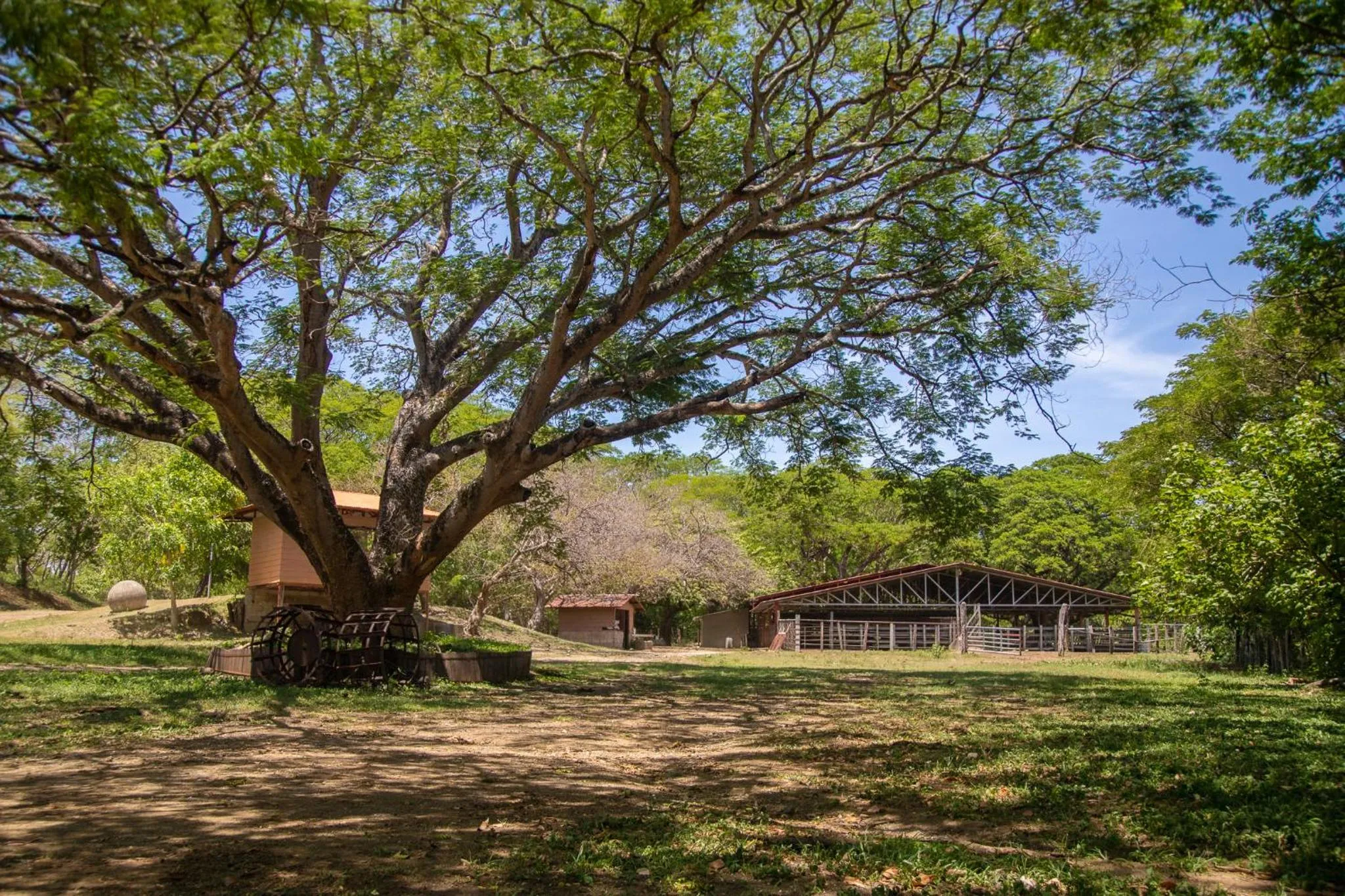 Garden view in Rancho Humo Estancia
