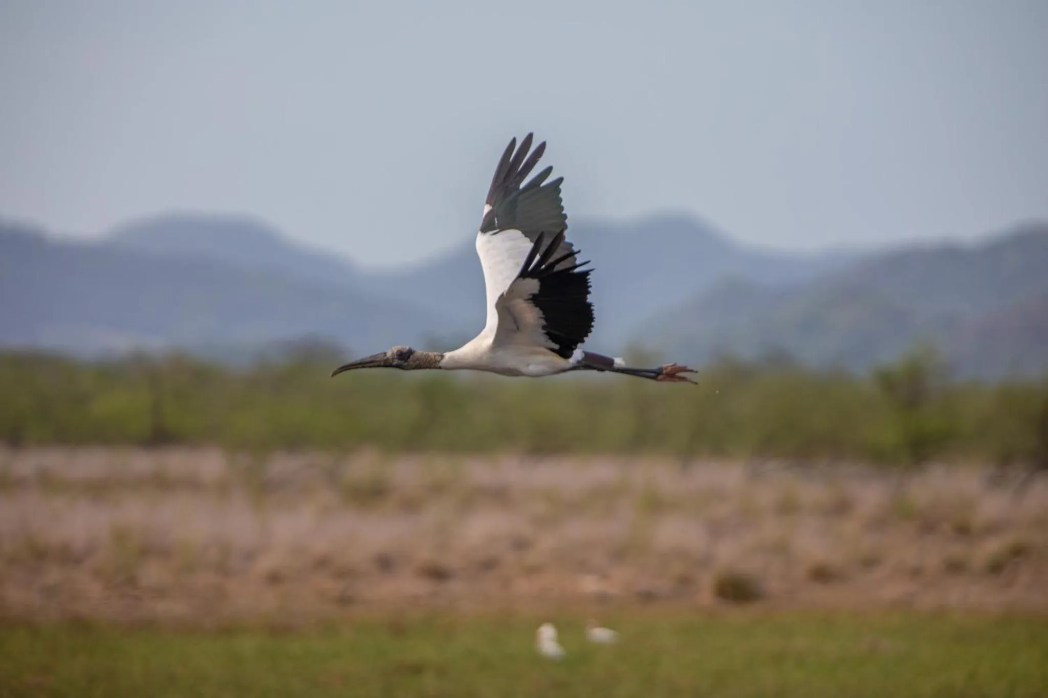 Natural landscape in Rancho Humo Estancia