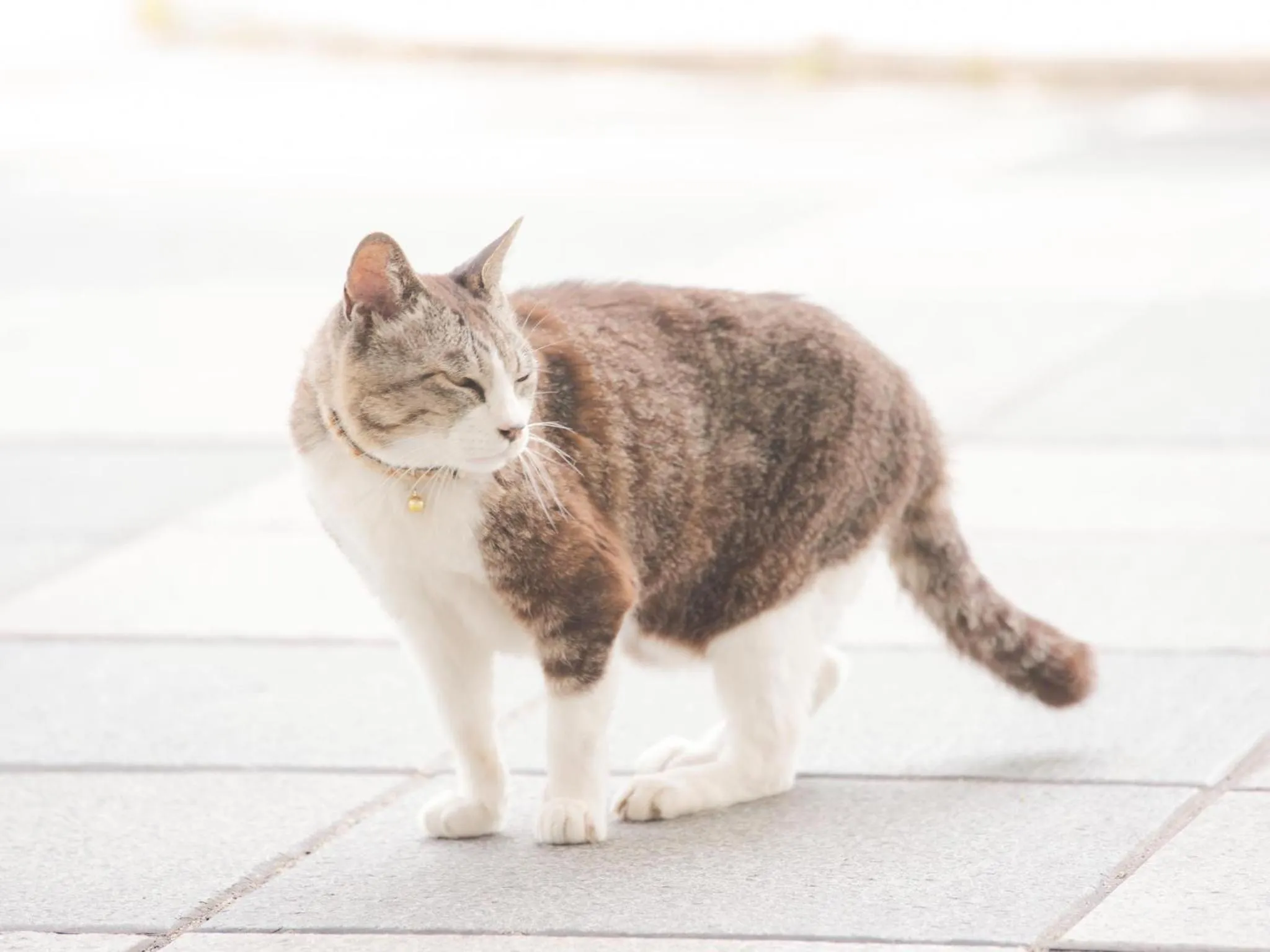 Staff in Hotel Areaone Hiroshima Wing