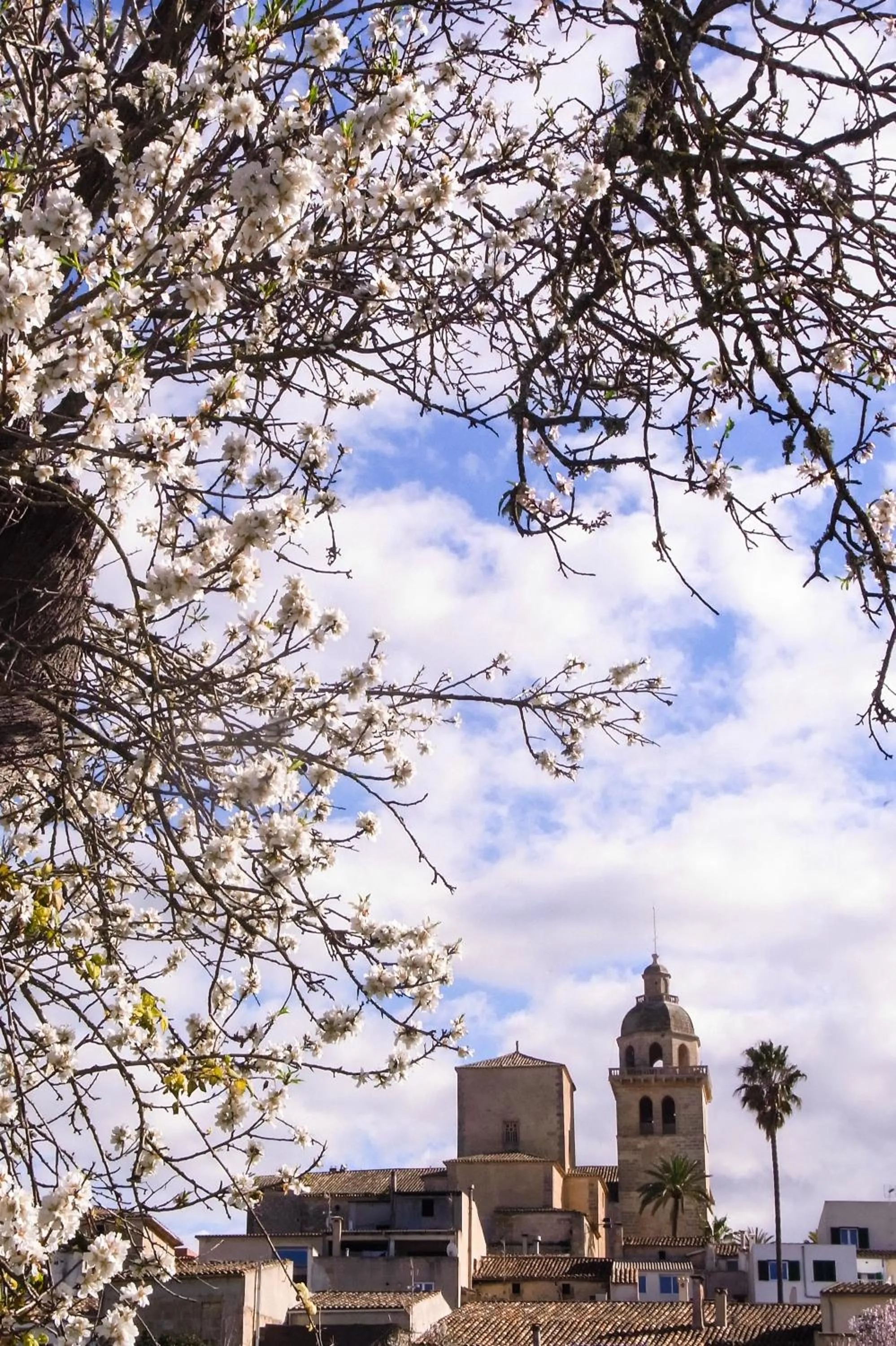 Neighbourhood in Embat - Hostel