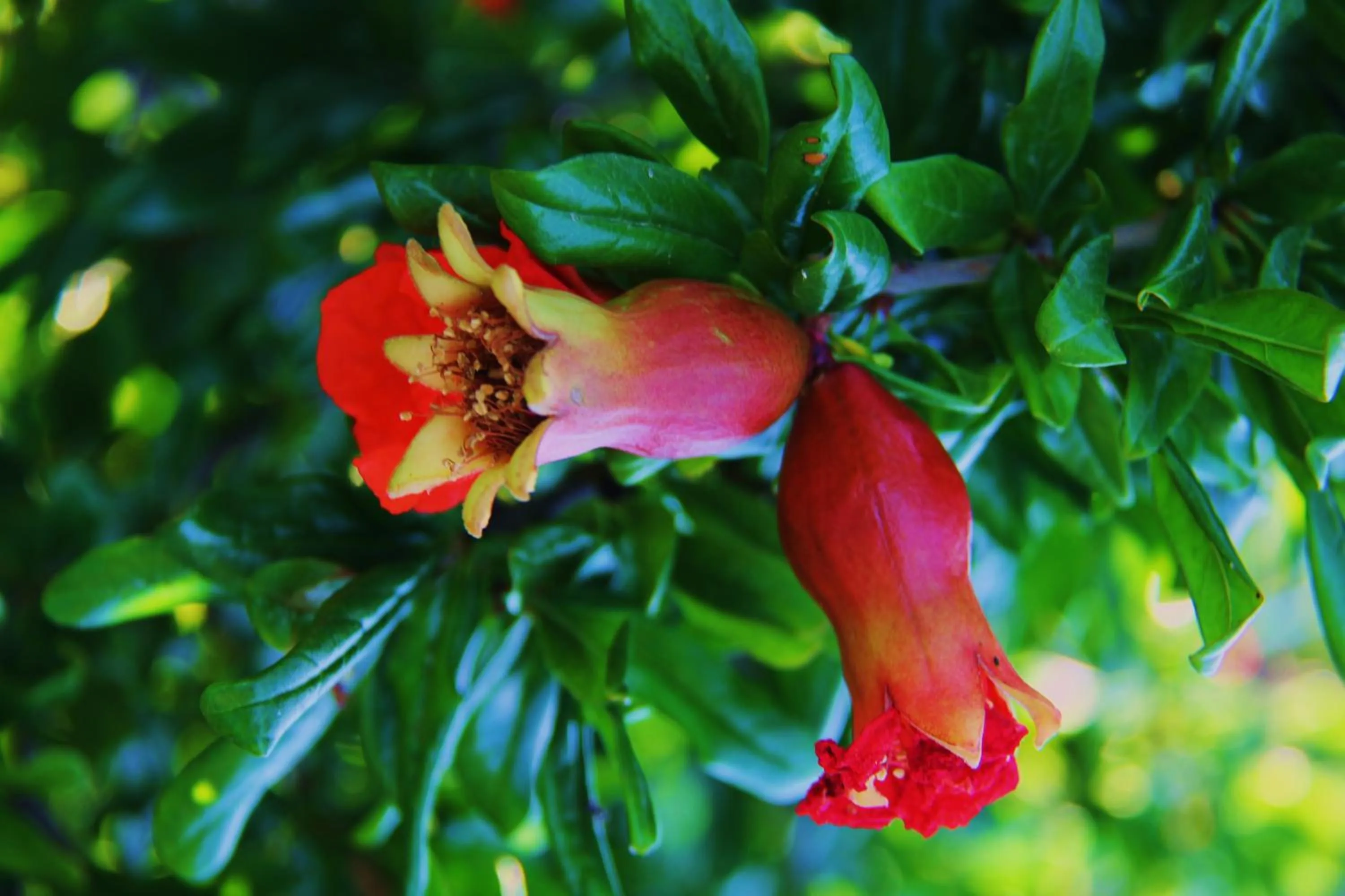 Other in Hotel Rural Las Monteras