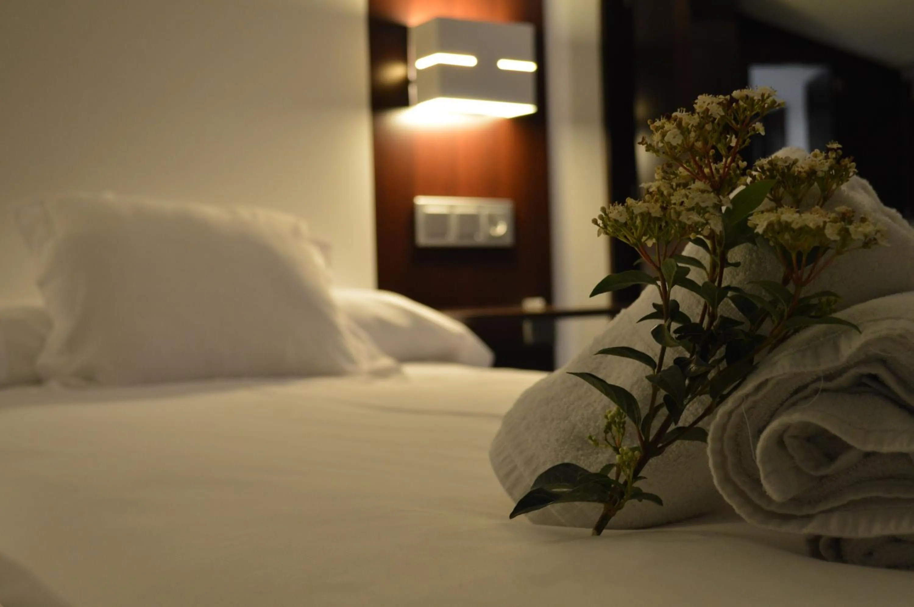 Other in Hotel Rural Las Monteras