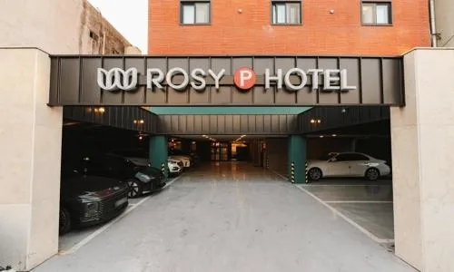 Cheonan Asan Rosy Hotel